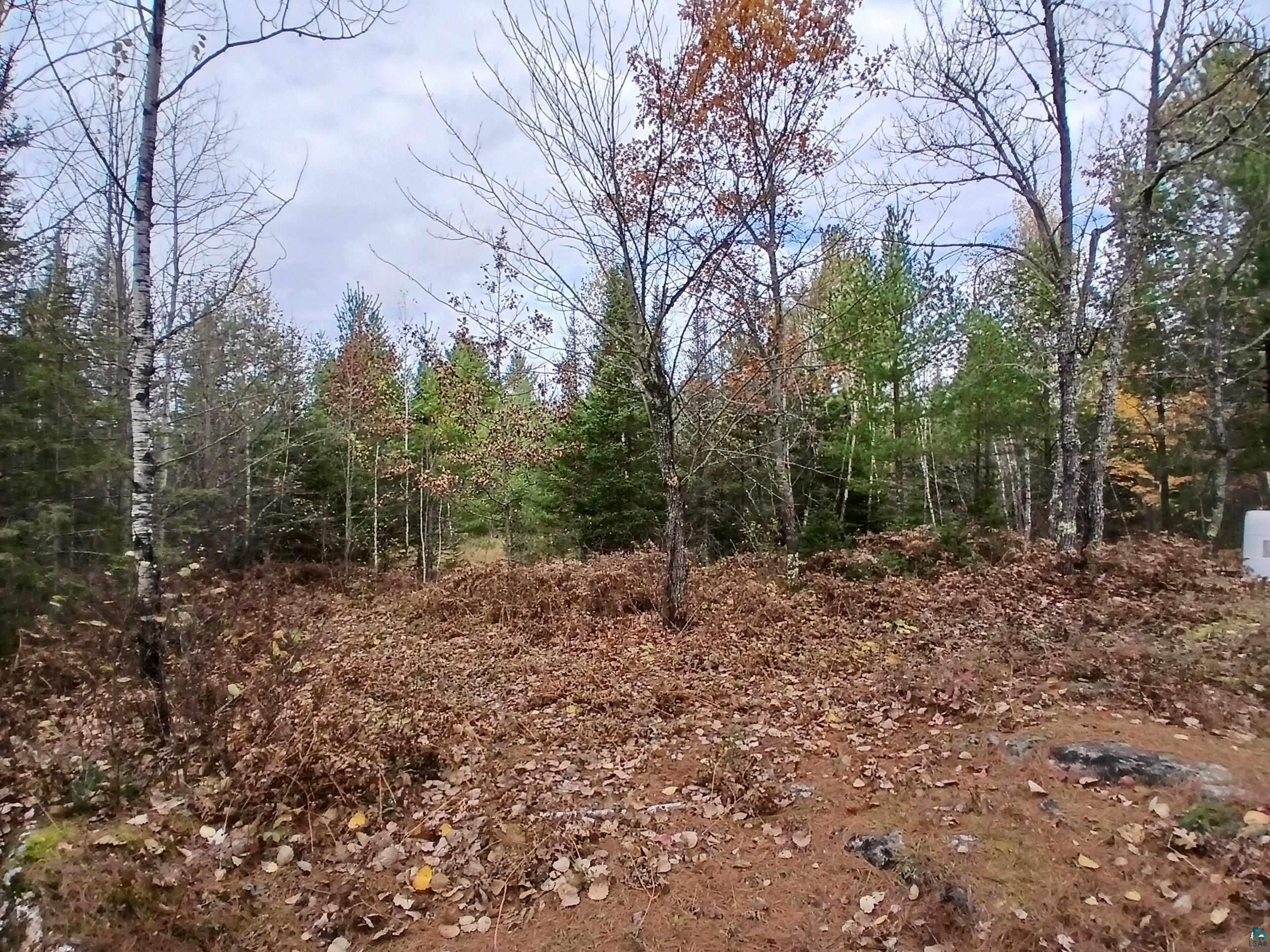 TBD Echo Tr, Orr, MN 55771 Listing Photo  33
