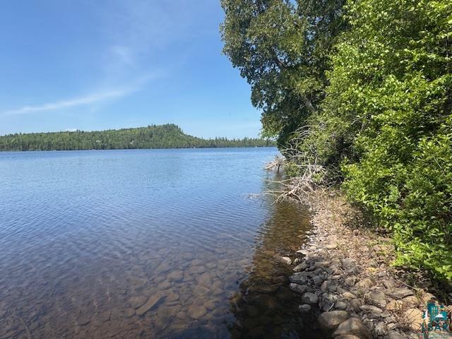 14XX Tom Lake Rd, Hovland, MN 55606 Listing Photo  1