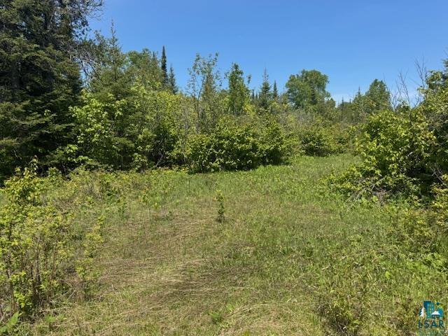 14XX Tom Lake Rd, Hovland, MN 55606 Listing Photo  11
