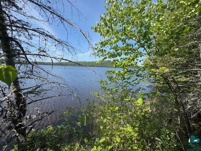 14XX Tom Lake Rd, Hovland, MN 55606 Listing Photo  16