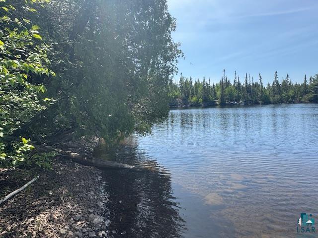 14XX Tom Lake Rd, Hovland, MN 55606 Listing Photo  17
