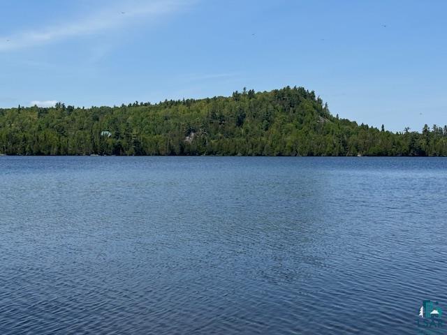 14XX Tom Lake Rd, Hovland, MN 55606 Listing Photo  3