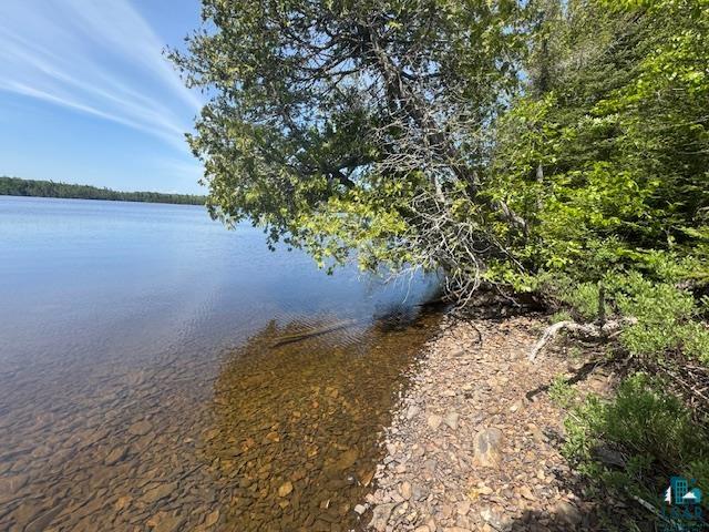 14XX Tom Lake Rd, Hovland, MN 55606 Listing Photo  4