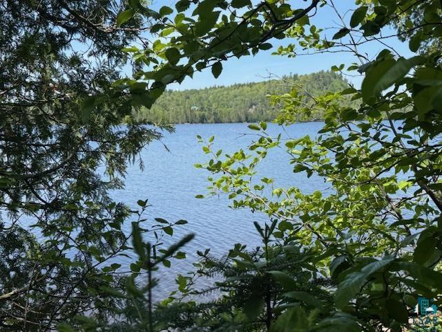 14XX Tom Lake Rd, Hovland, MN 55606 Listing Photo  6