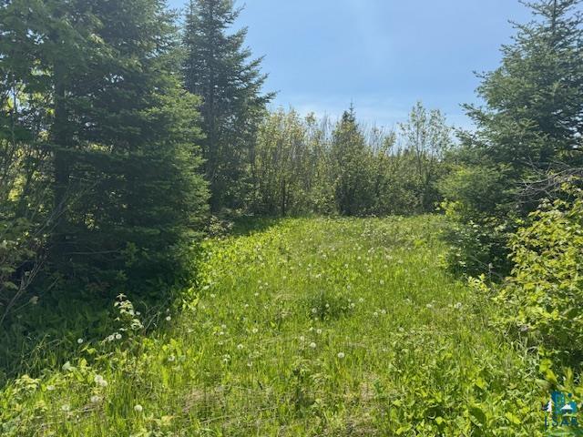 14XX Tom Lake Rd, Hovland, MN 55606 Listing Photo  7