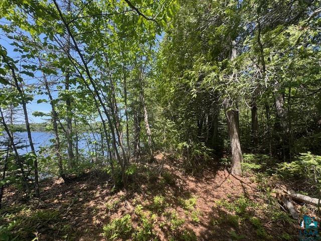 14XX Tom Lake Rd, Hovland, MN 55606 Listing Photo  9