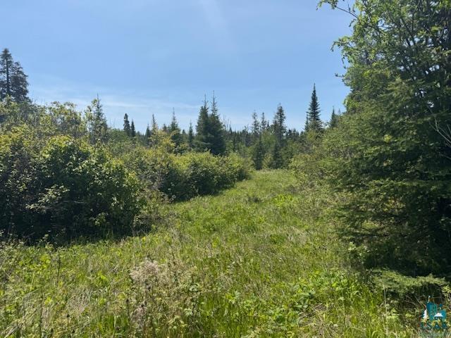 14XX Tom Lake Rd, Hovland, MN 55606 Listing Photo  10