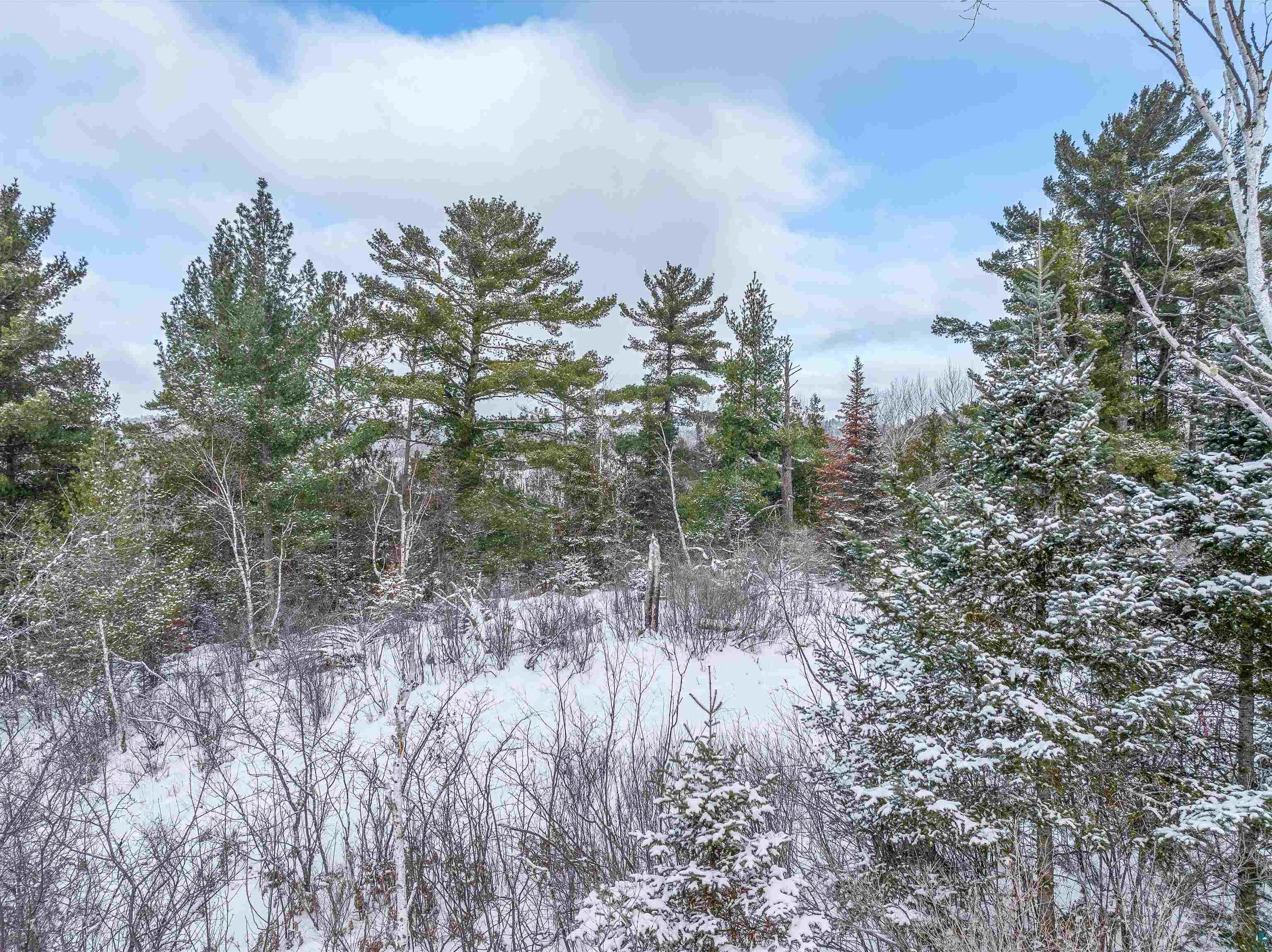 TBD Trezona Dr, Ely, MN 55731-0000 Listing Photo  11