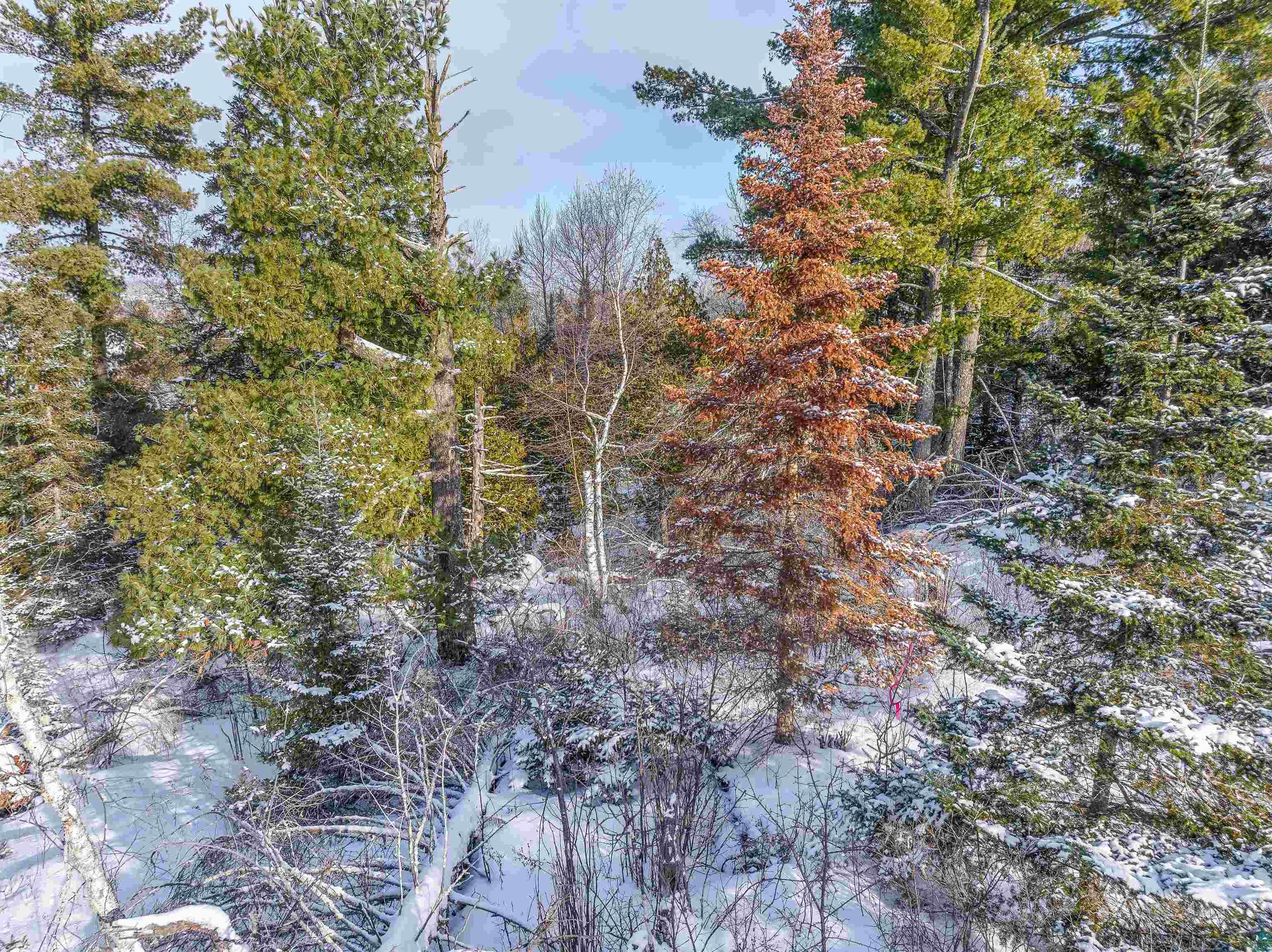 TBD Trezona Dr, Ely, MN 55731-0000 Listing Photo  3