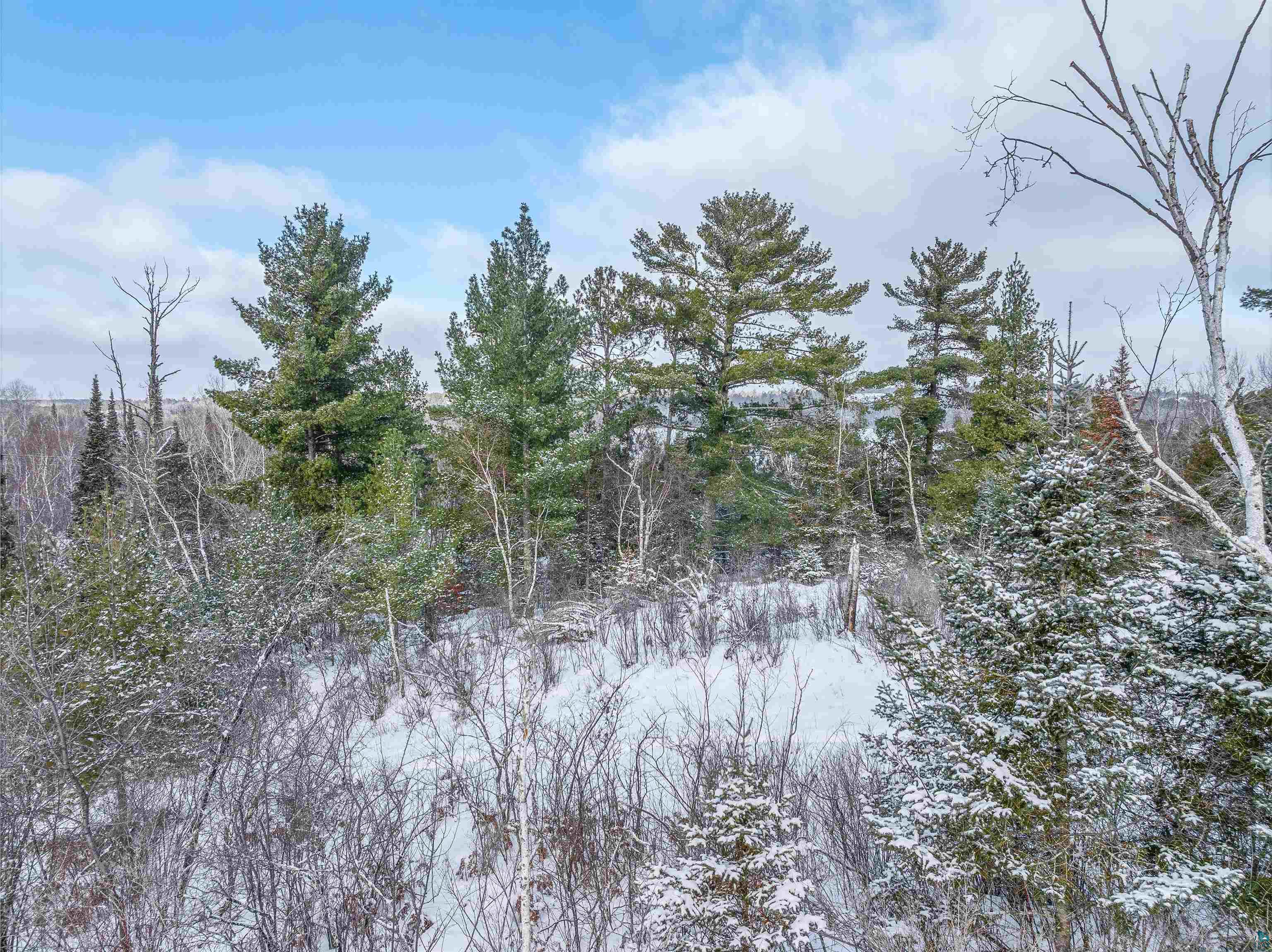 TBD Trezona Dr, Ely, MN 55731-0000 Listing Photo  5