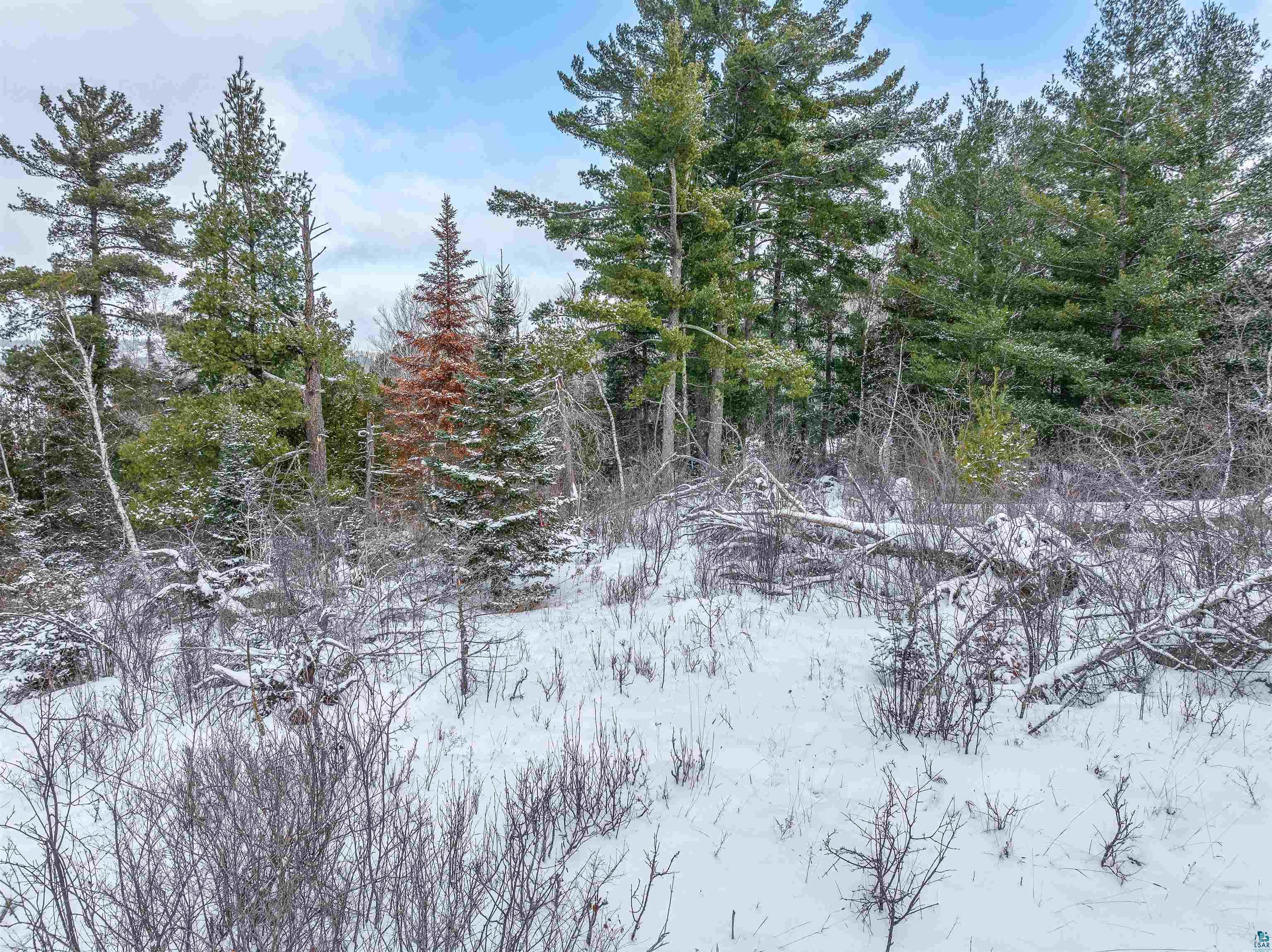 TBD Trezona Dr, Ely, MN 55731-0000 Listing Photo  10