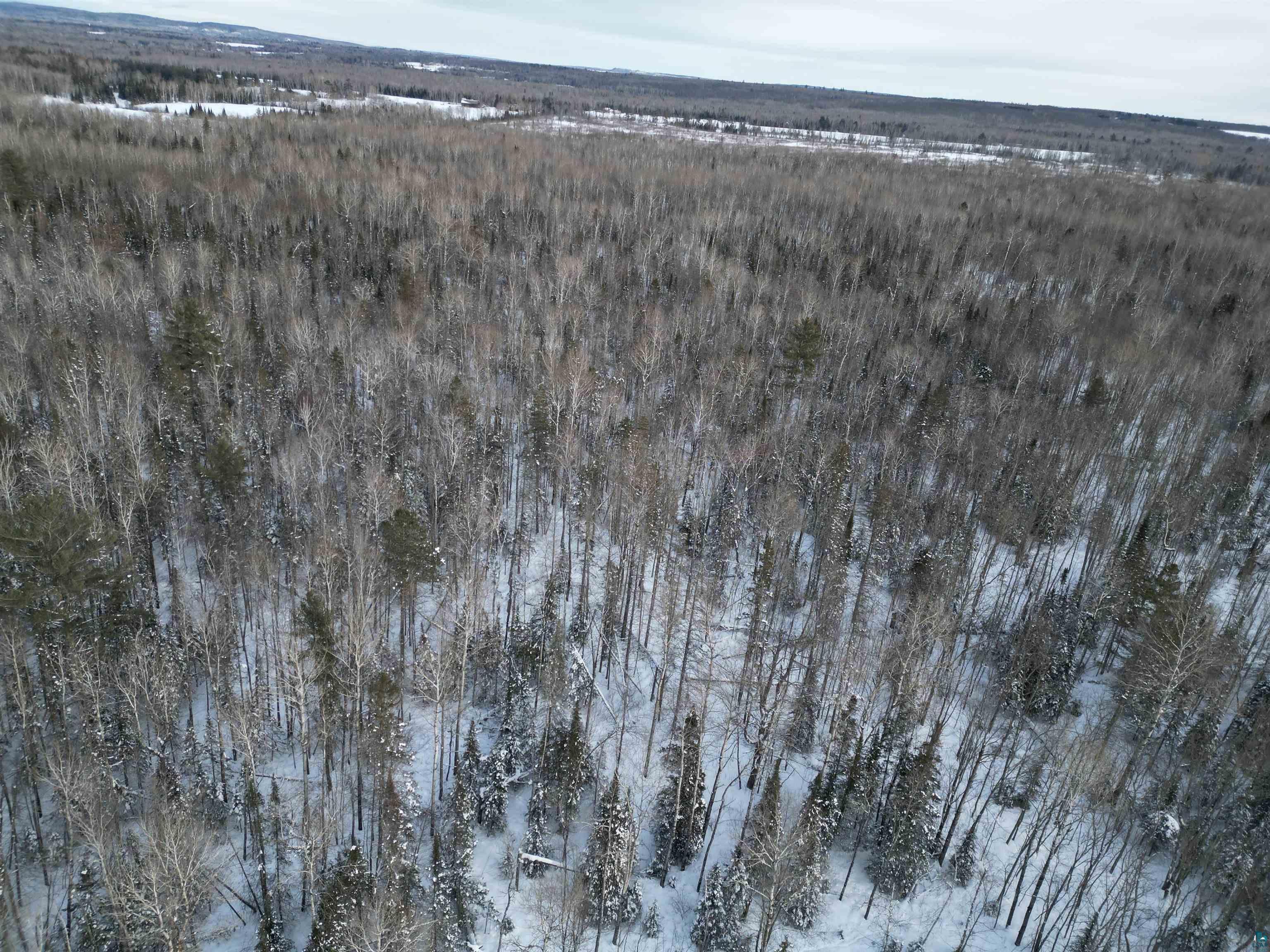000 Airport Rd, Port Wing, WI 54865 Listing Photo  5