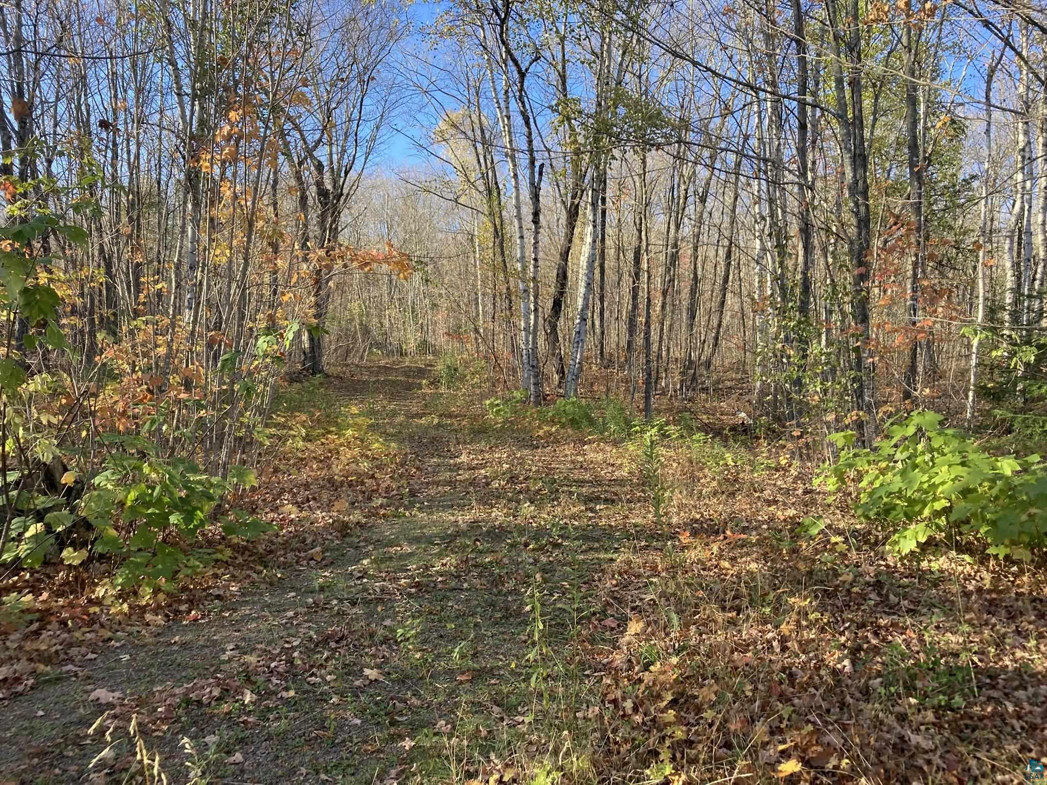 192 W Deeryard Lake Rd, Lutsen, MN 55612 Listing Photo  60