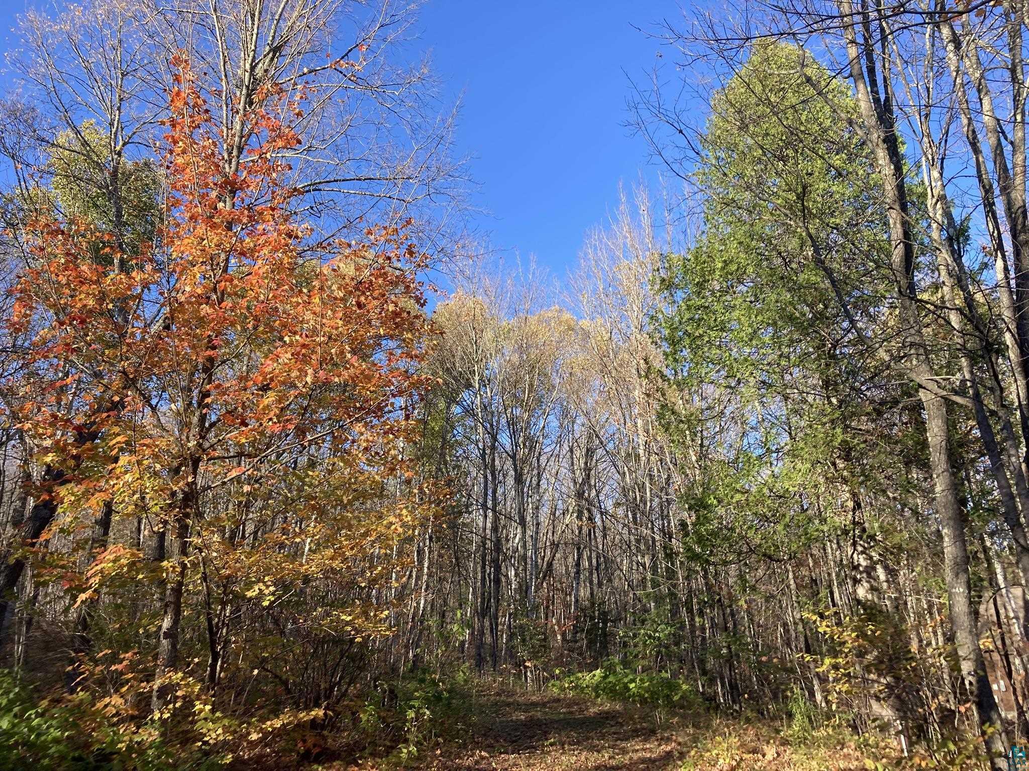 192 W Deeryard Lake Rd, Lutsen, MN 55612 Listing Photo  61
