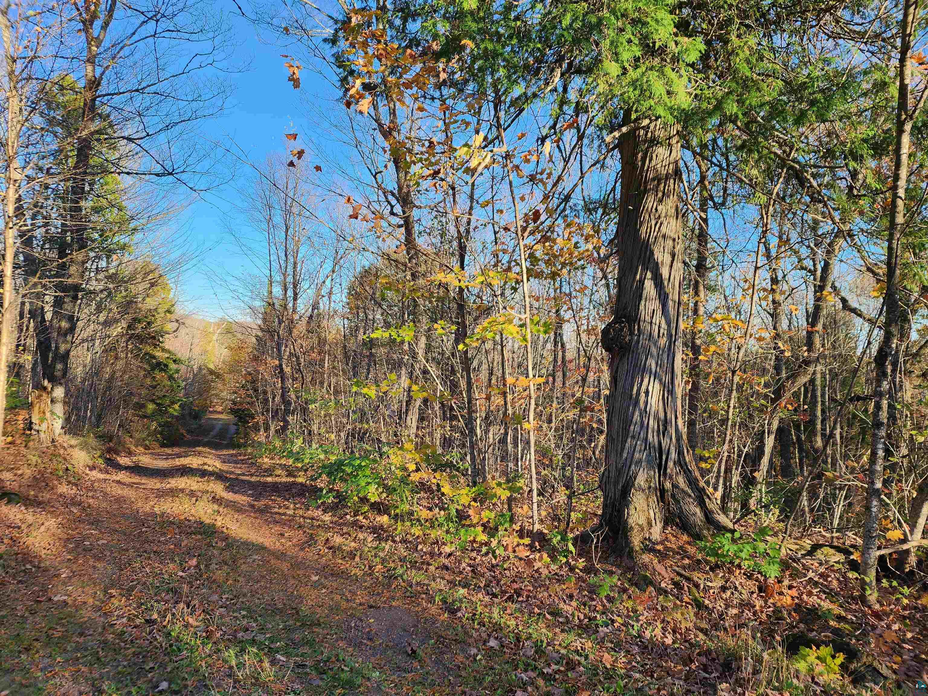 192 W Deeryard Lake Rd, Lutsen, MN 55612 Listing Photo  67