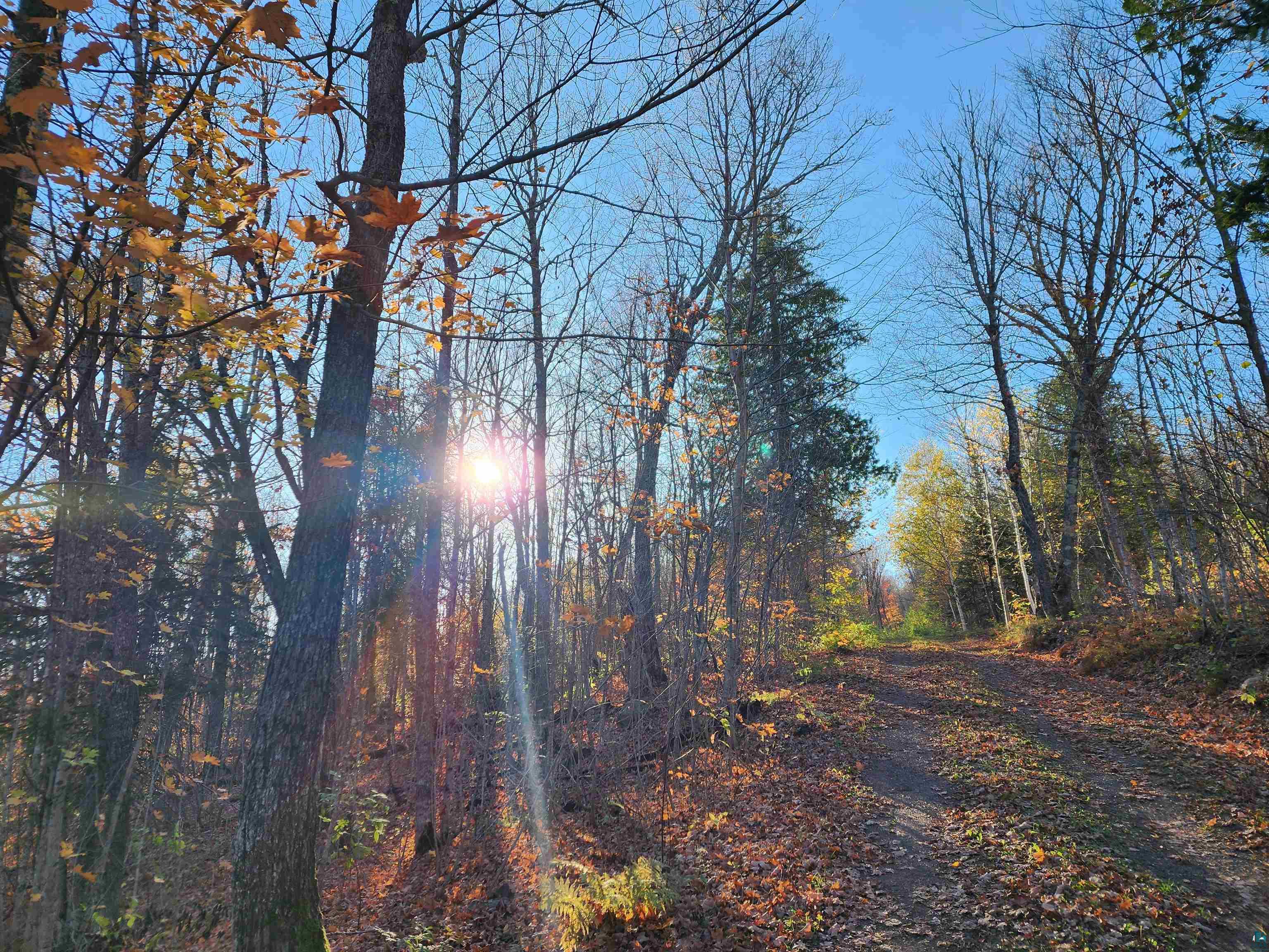 192 W Deeryard Lake Rd, Lutsen, MN 55612 Listing Photo  69