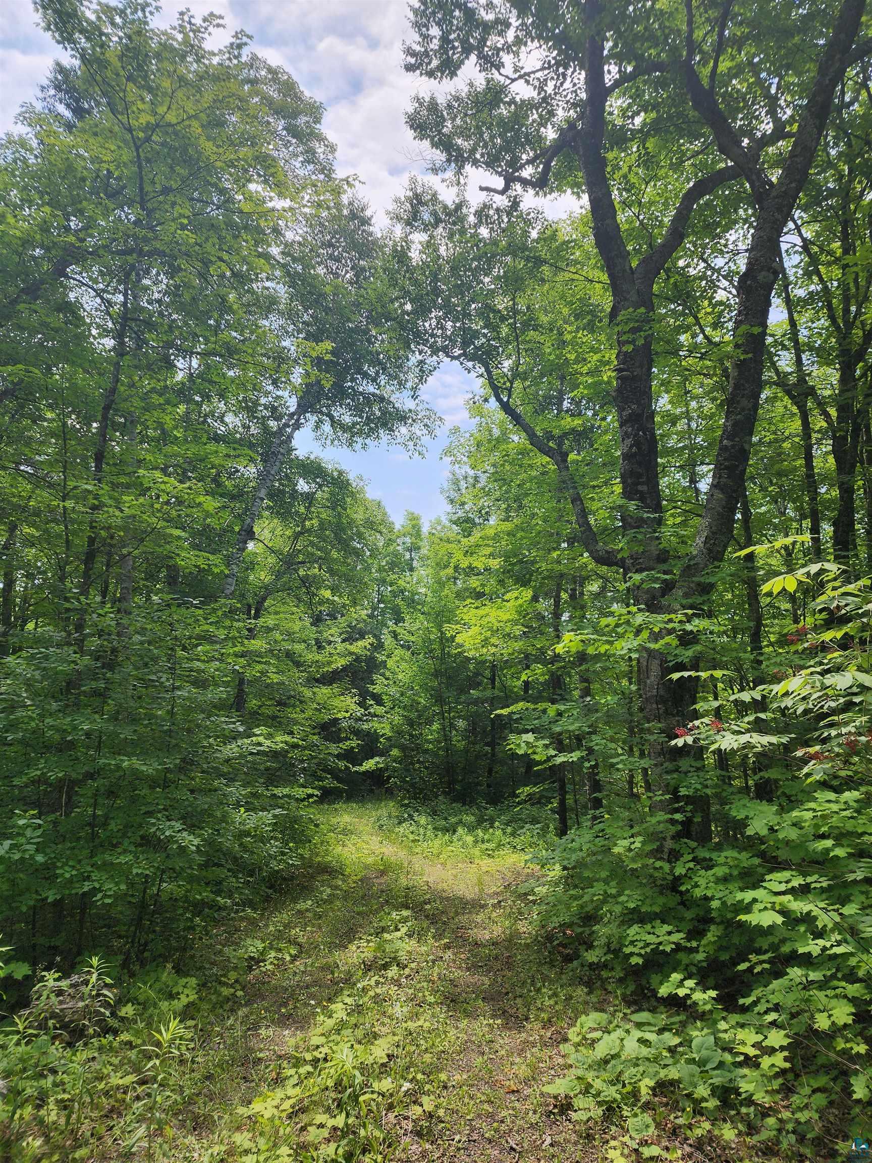 192 W Deeryard Lake Rd, Lutsen, MN 55612 Listing Photo  70