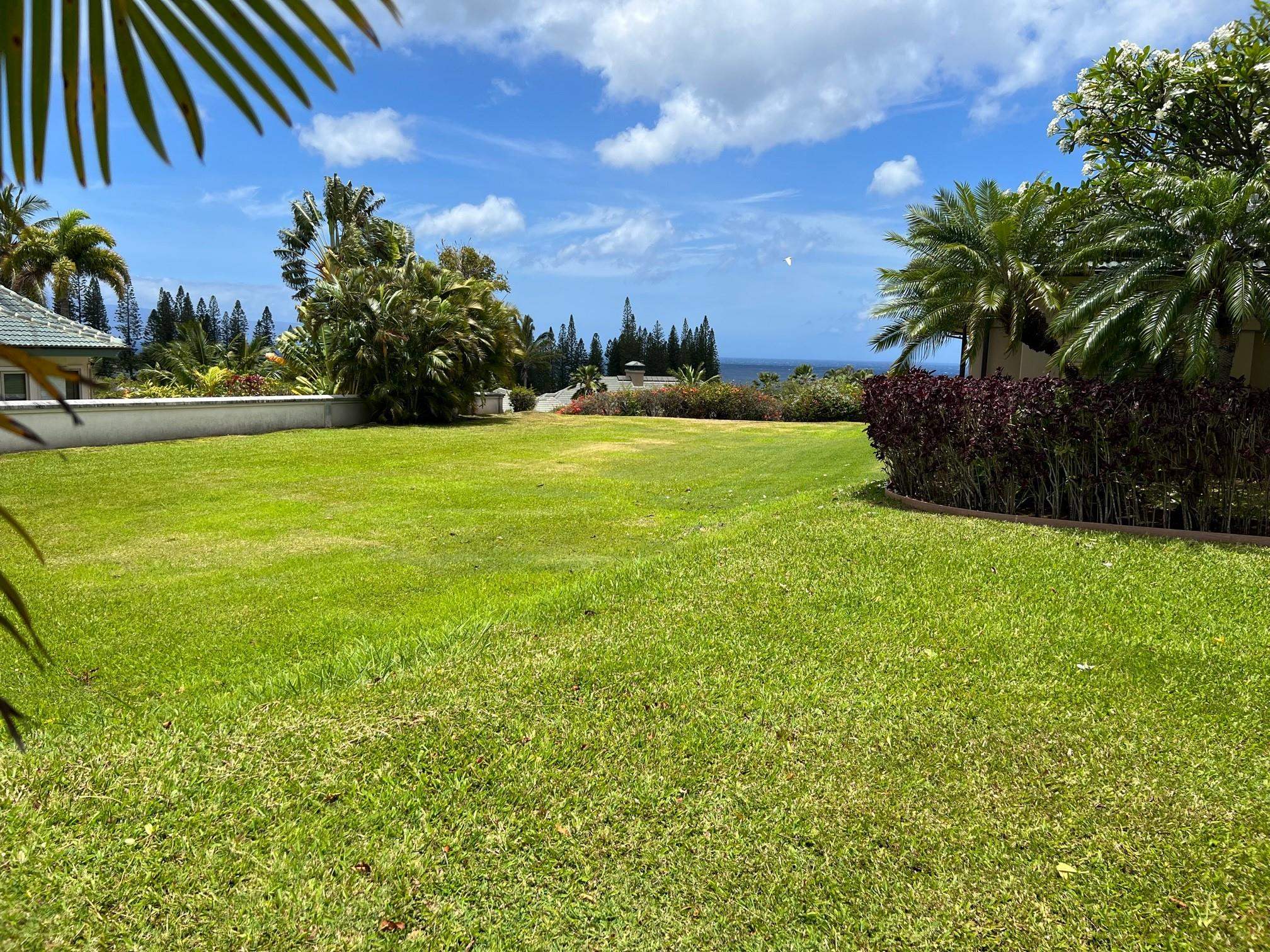 View from back of lot