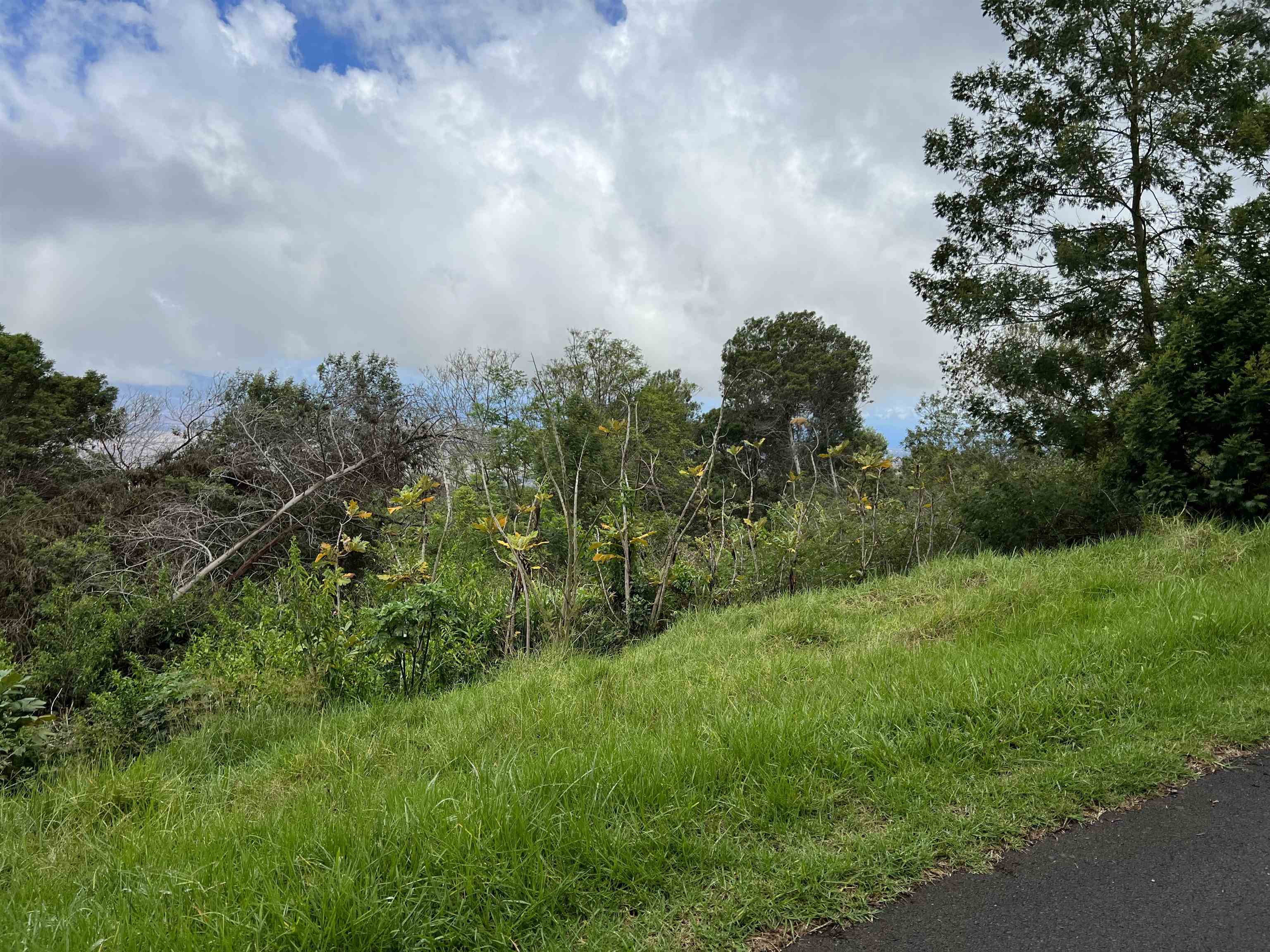 0 Middle, Kula, HI 96790