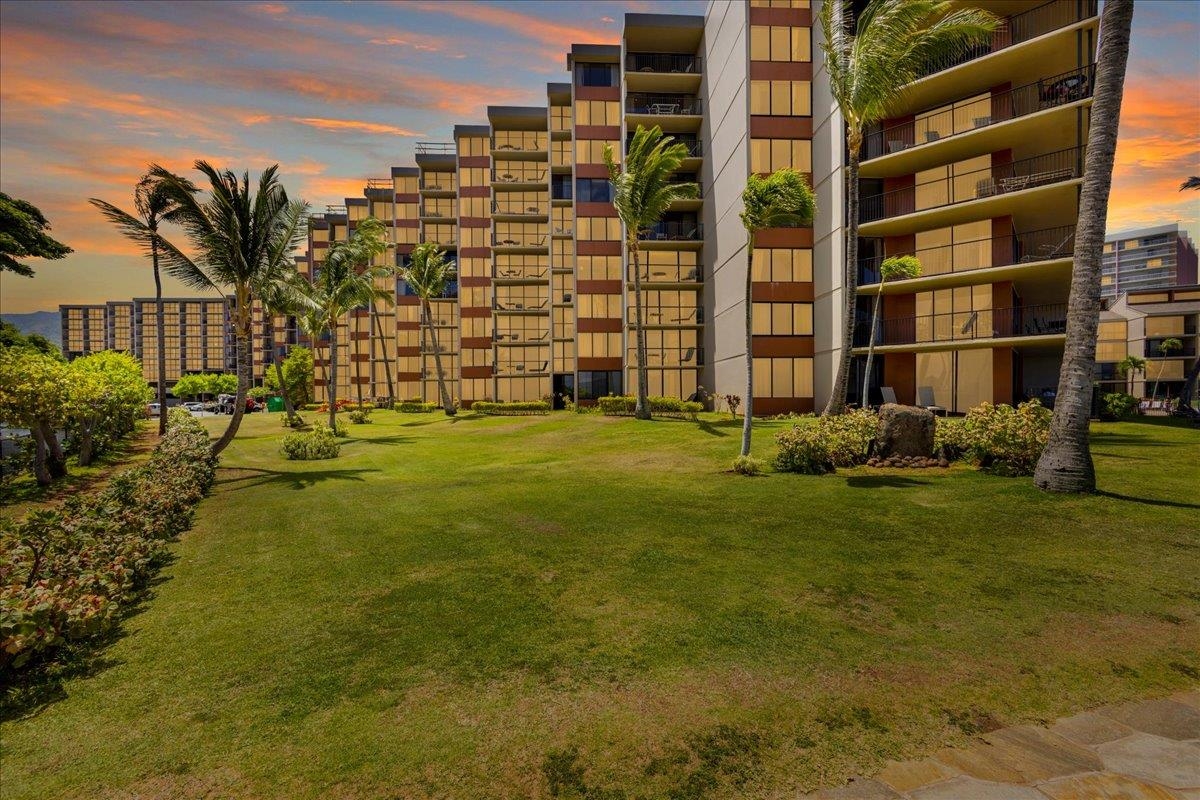 3445 Lower Honoapiilani 622, Lahaina, HI 96761