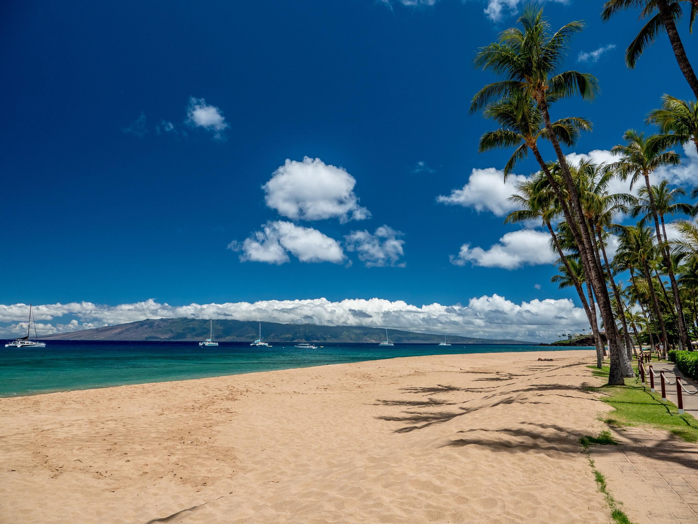 50 Nohea Kai Dr 1301