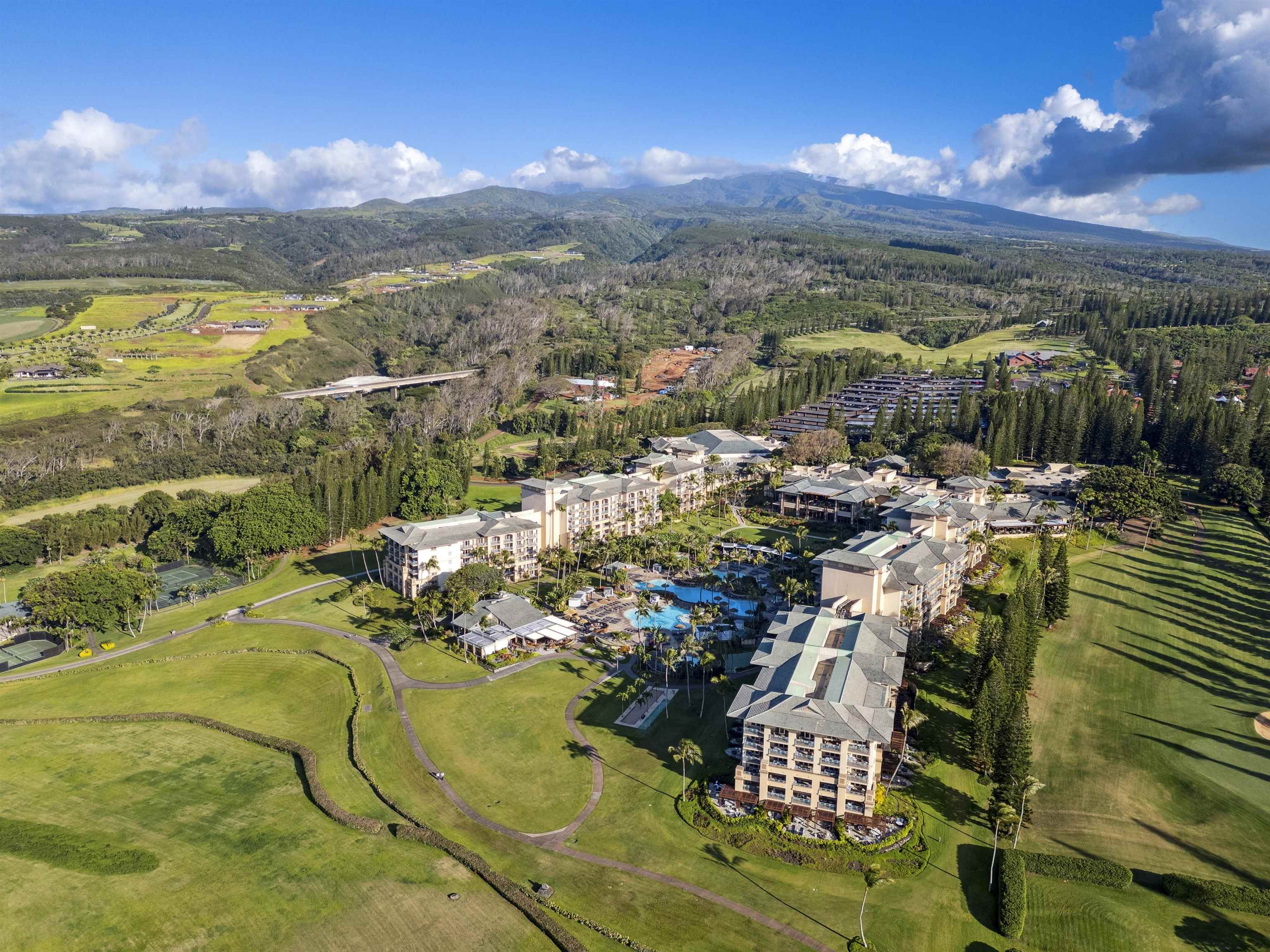 1 Ritz Carlton Dr 1125