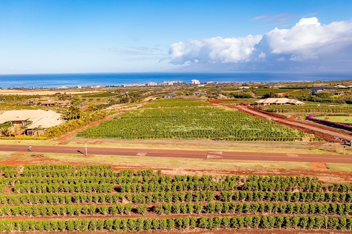 821 Aina Mahiai St Lot 23