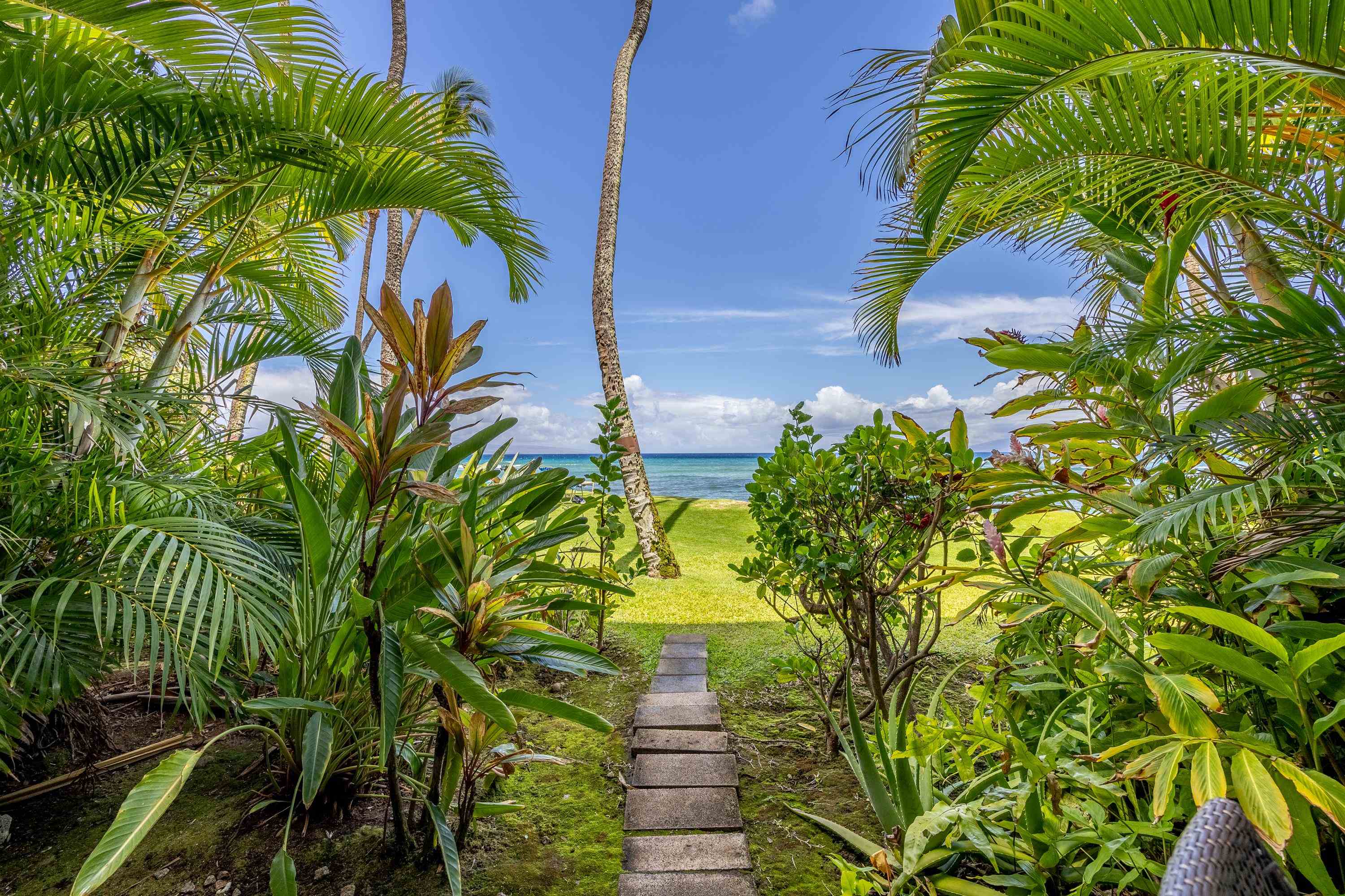 3875 Lower Honoapiilani Rd A104