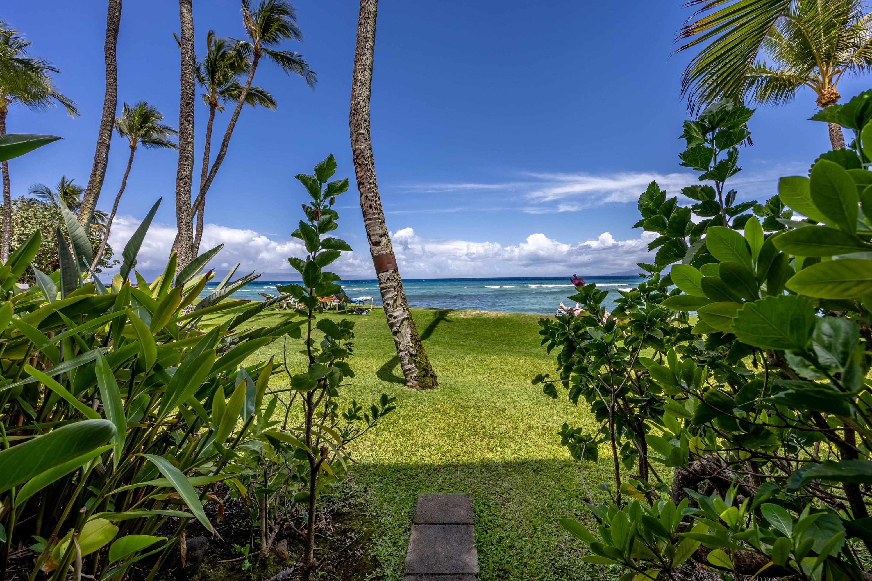 3875 Lower Honoapiilani Rd A104