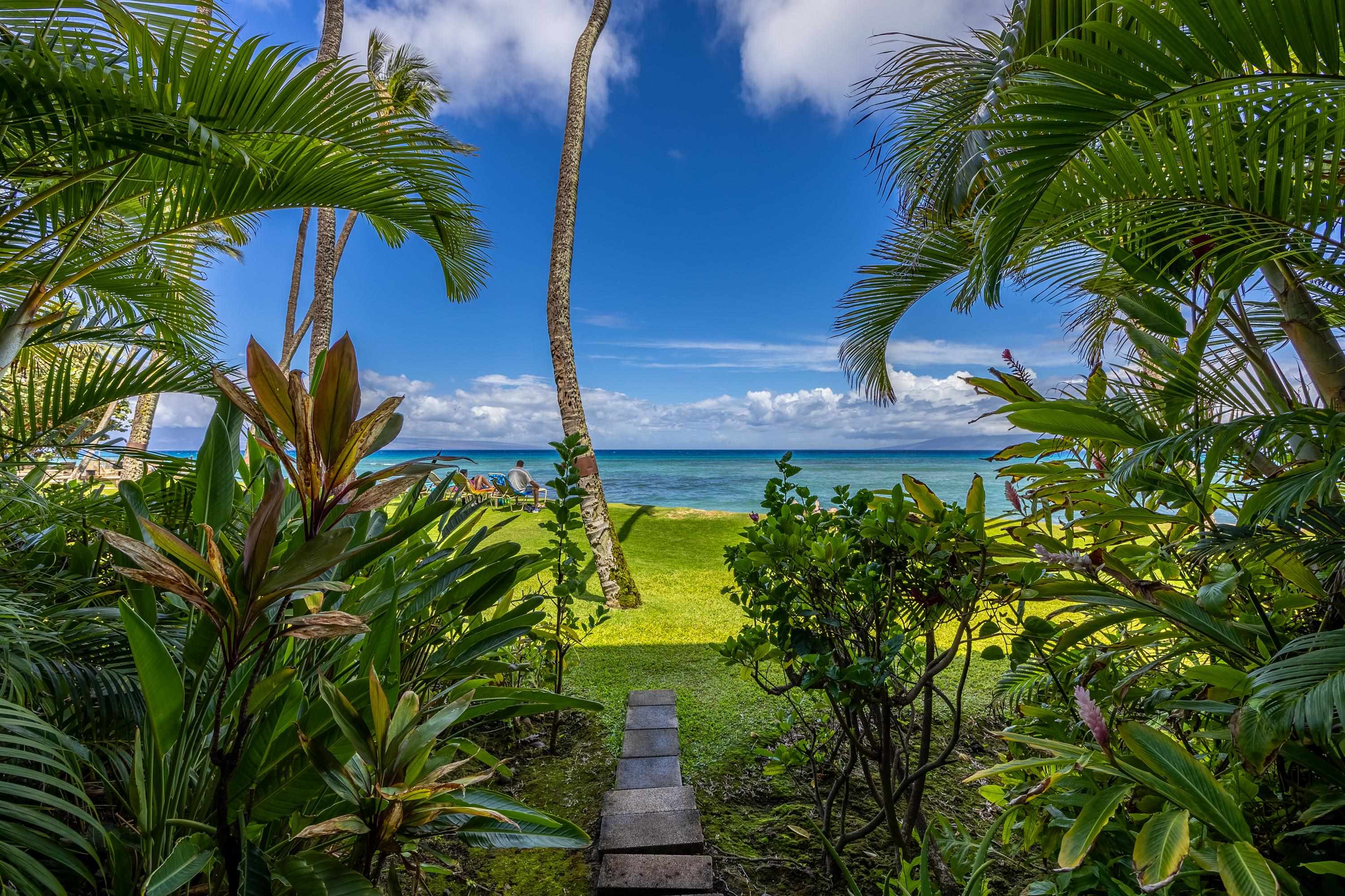 3875 Lower Honoapiilani Rd A104