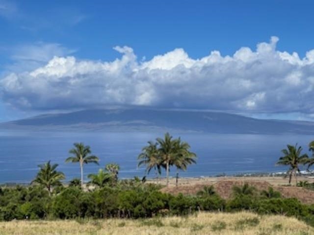 Makai View