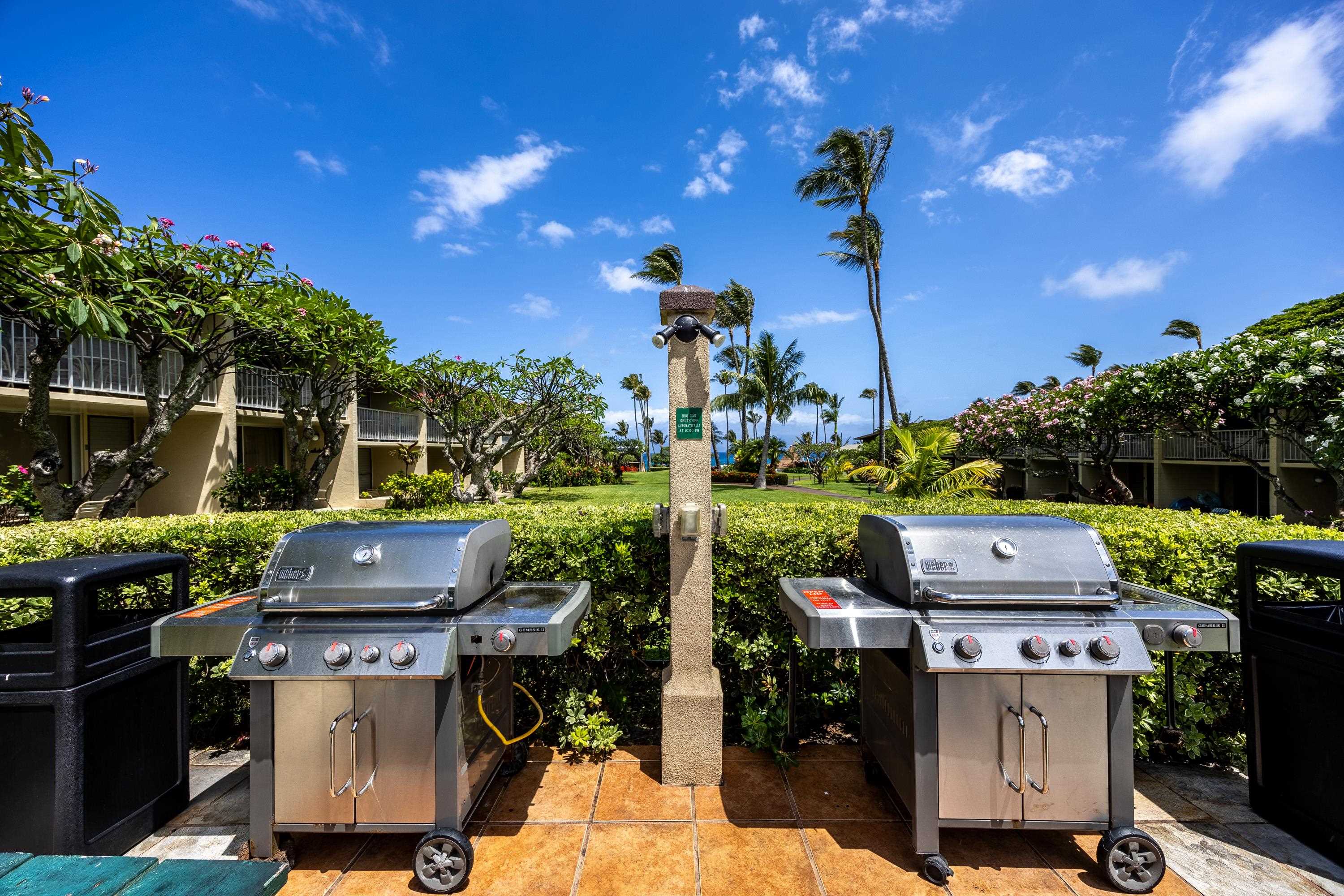 5315 Lower Honoapiilani Rd E135