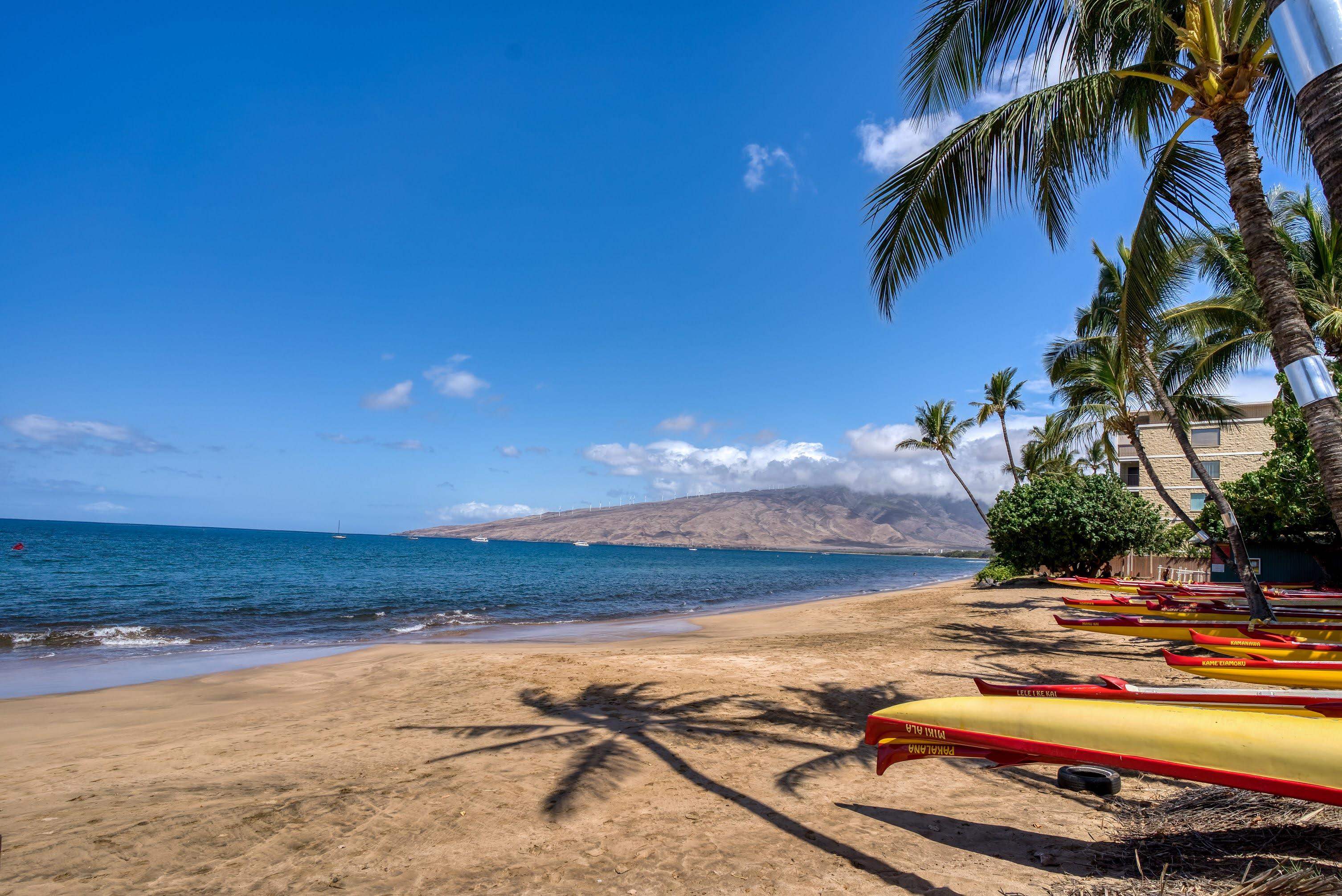 Dinits Realty 8774346487 MLS 402416 140 Uwapo Rd 55106 Maui HI 96753