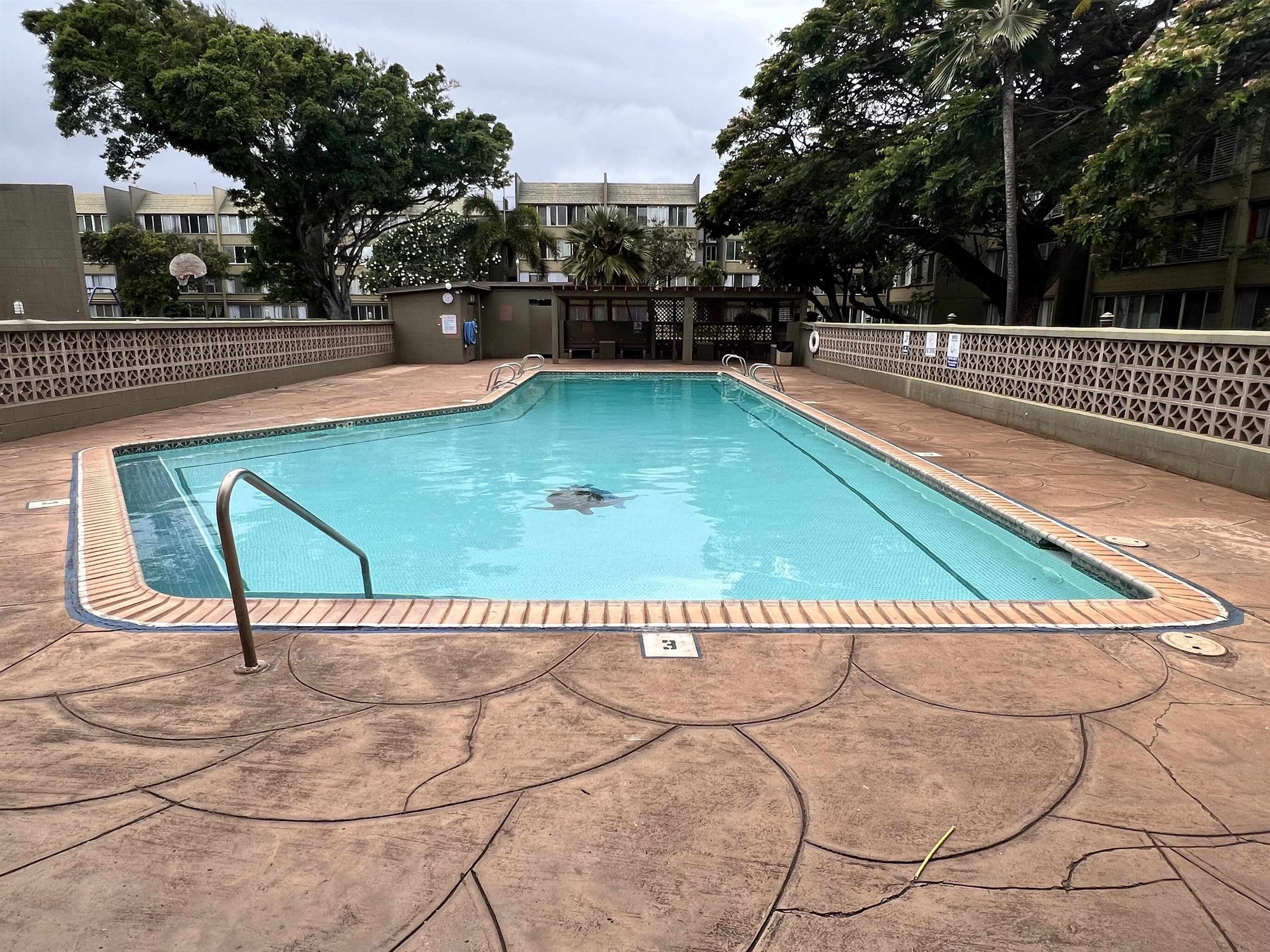 111 Kahului Beach Rd D323