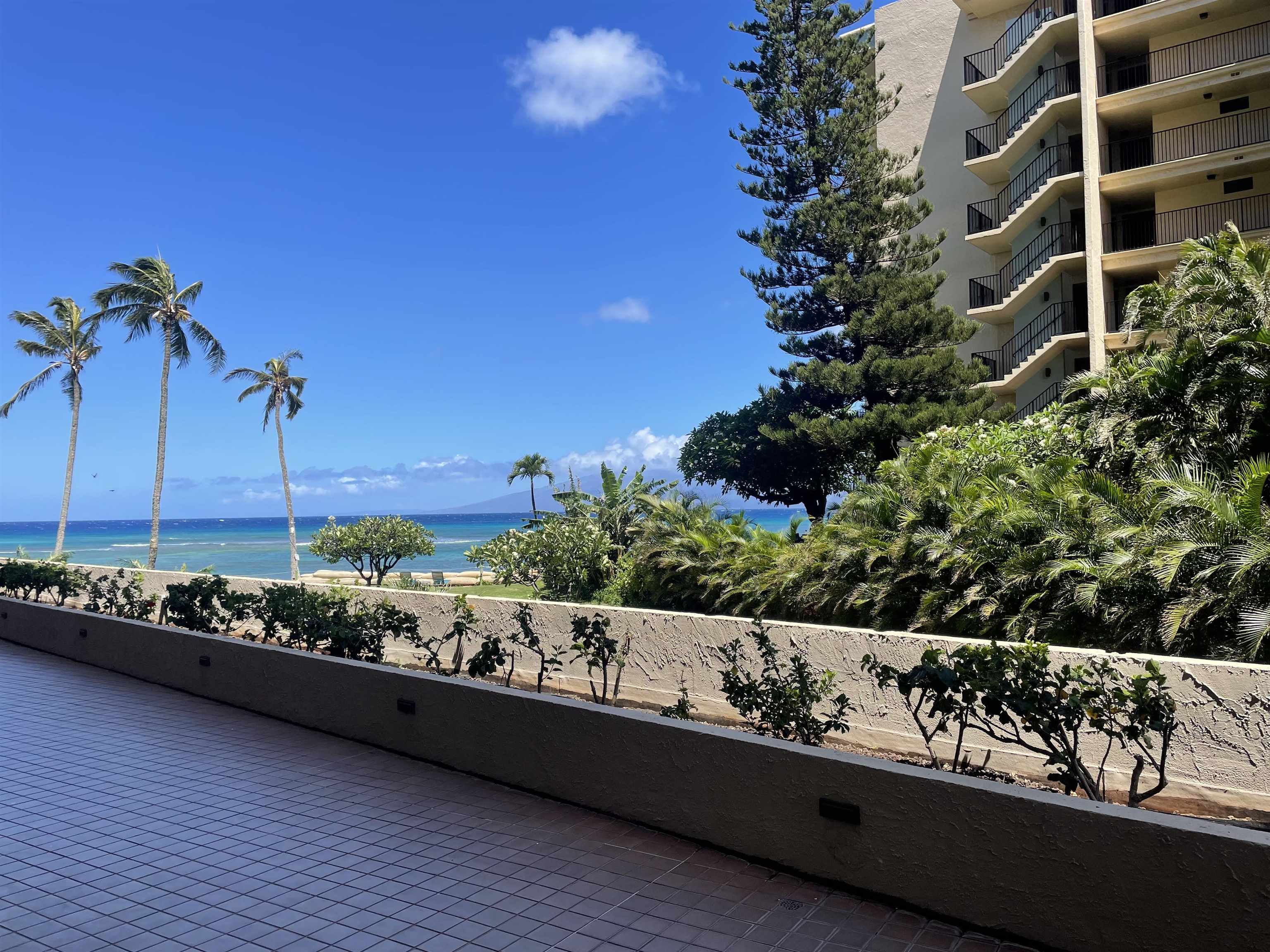 4365 Lower Honoapiilani Rd St 103