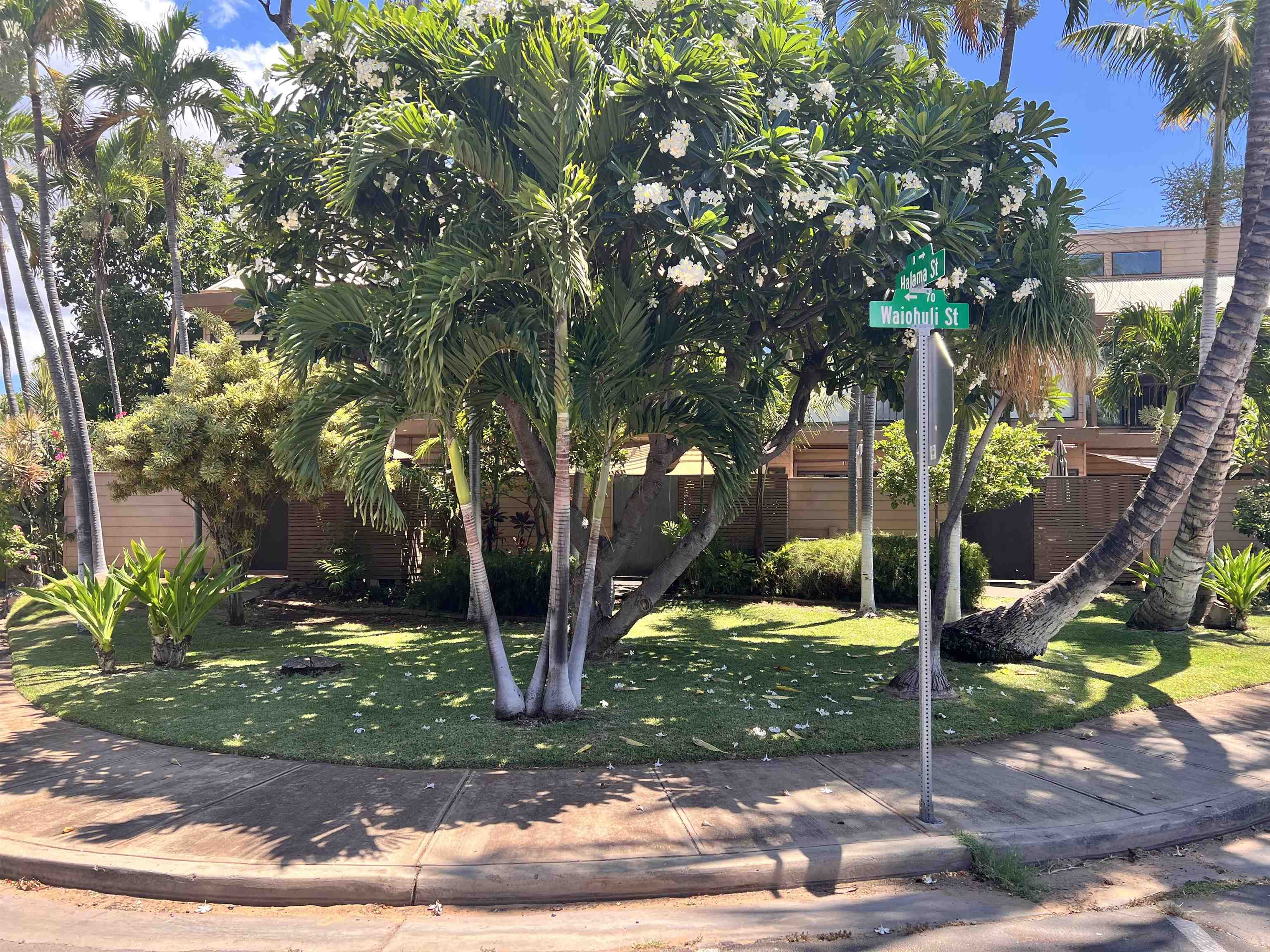 50 Waiohuli St E
