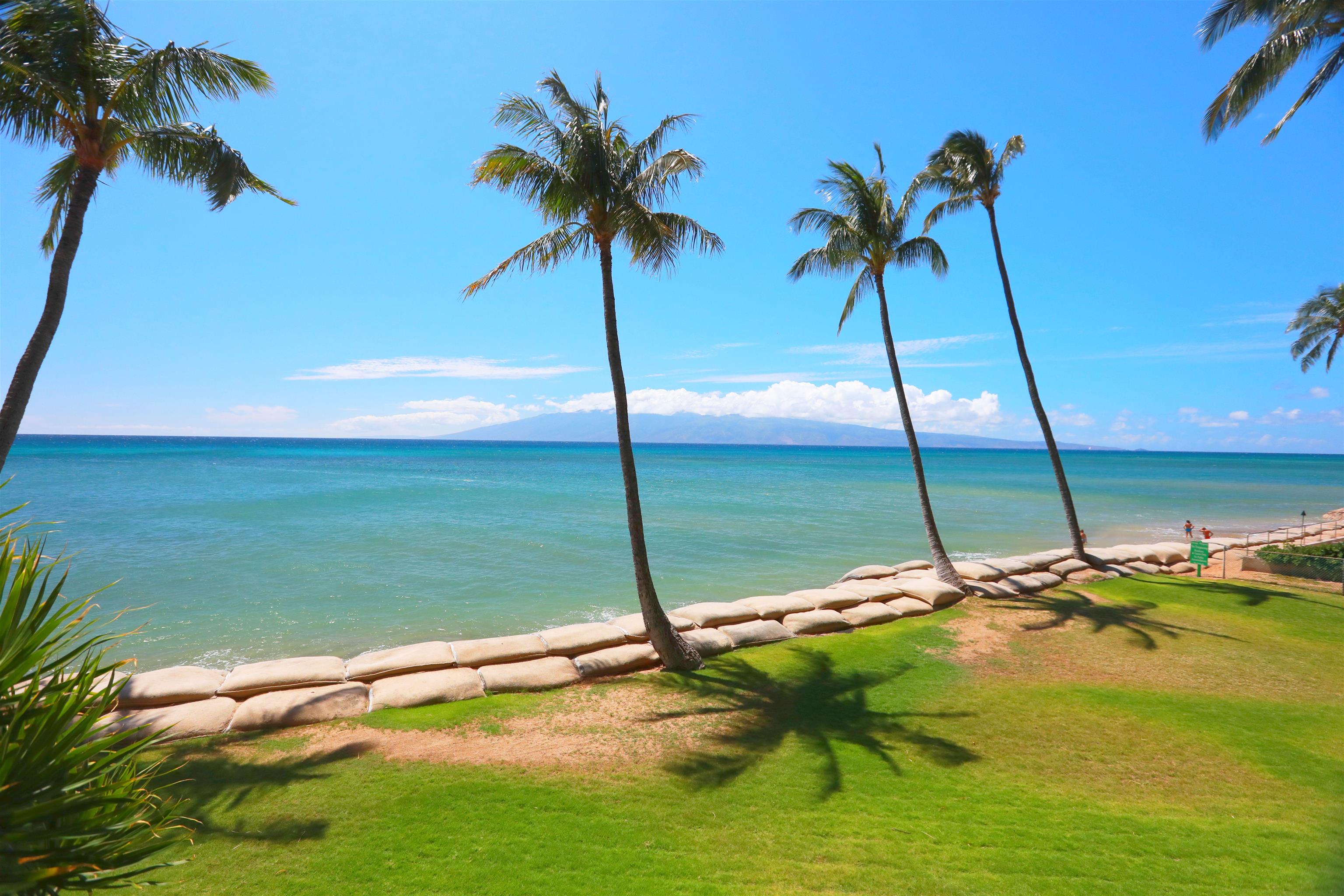 4327 Lower Honoapiilani Rd 208