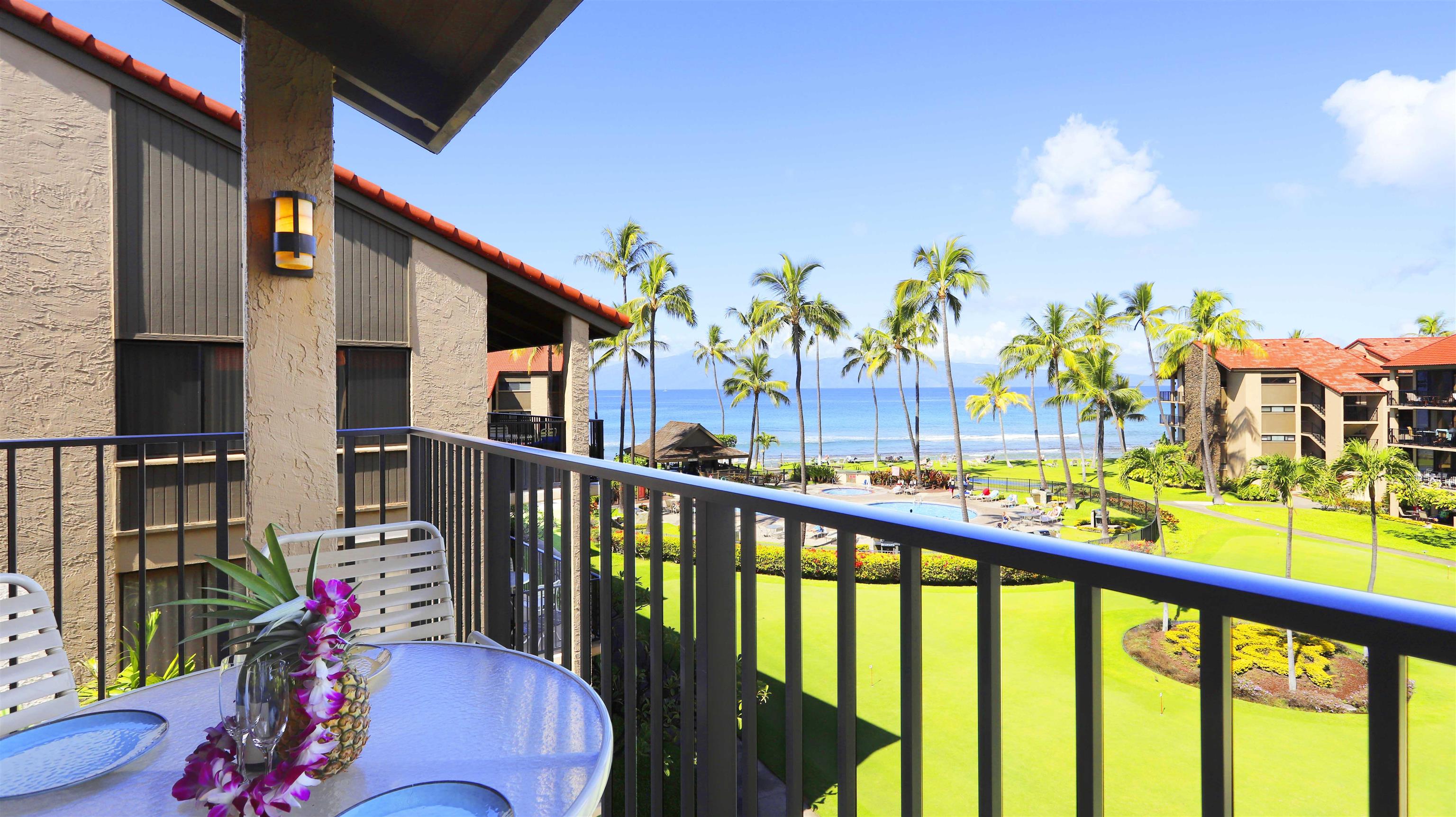 3543 Lower Honoapiilani Rd J401