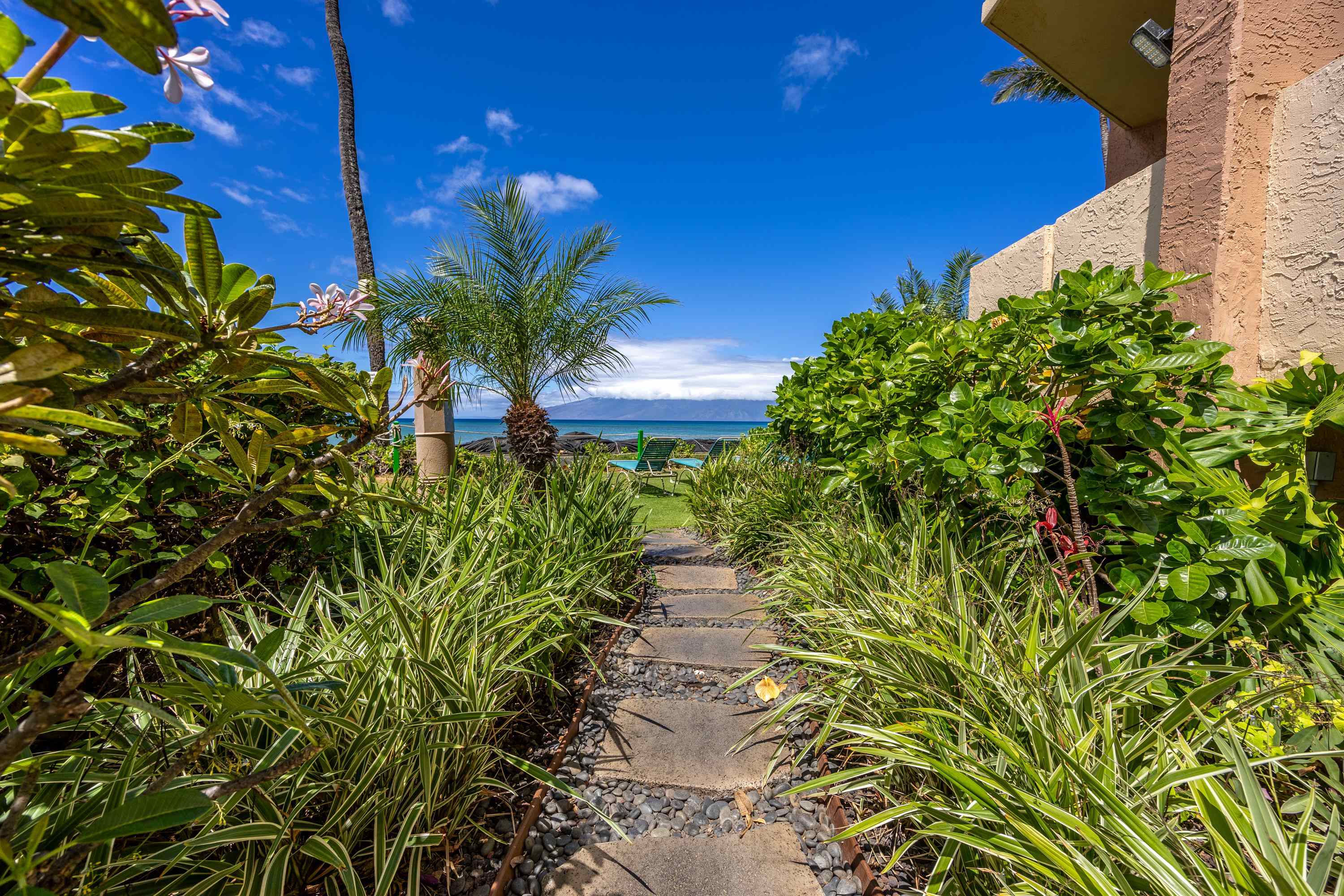 4365 Lower Honoapiilani Rd 312