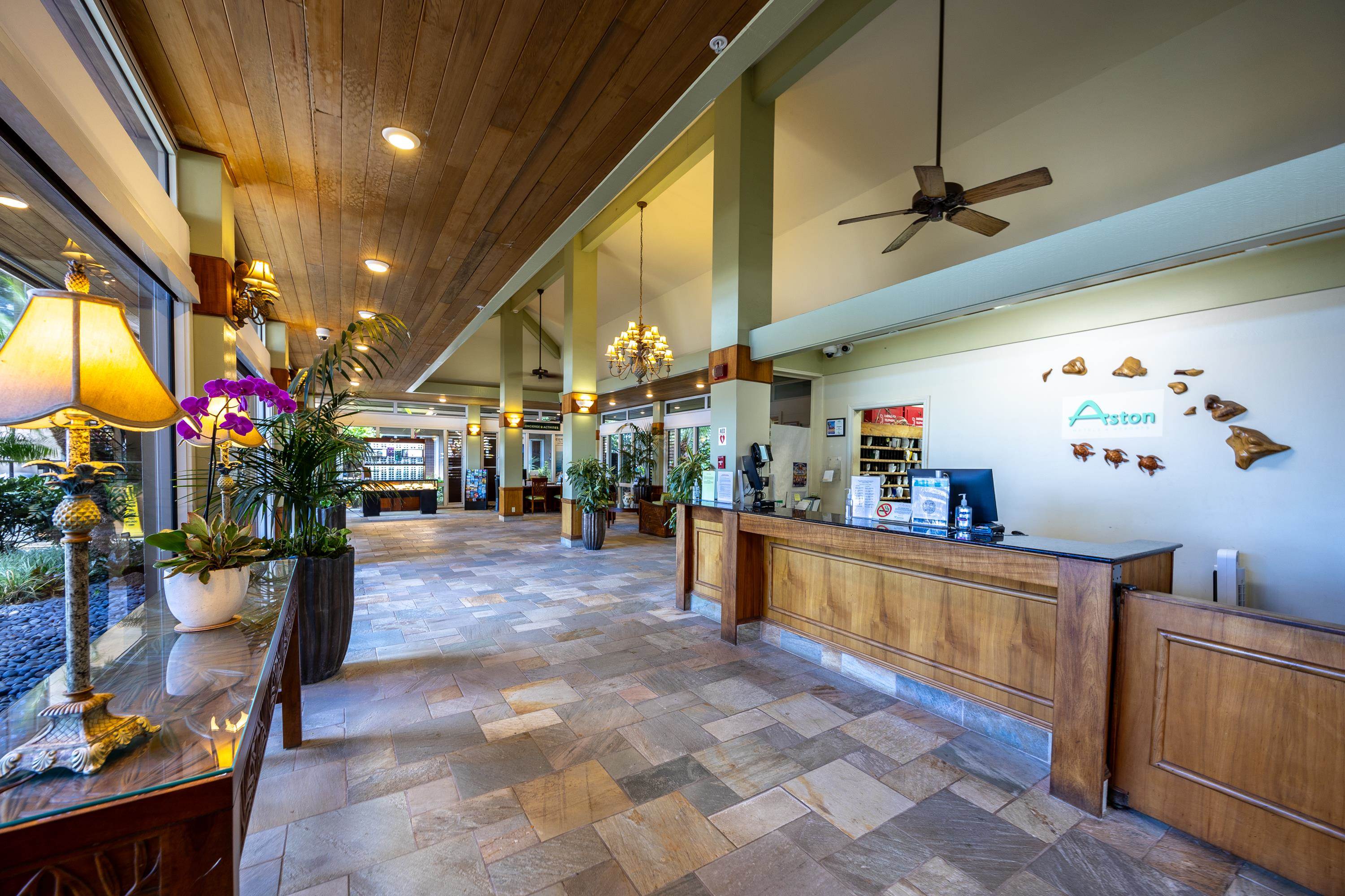 110 Kaanapali Shores Pl 502