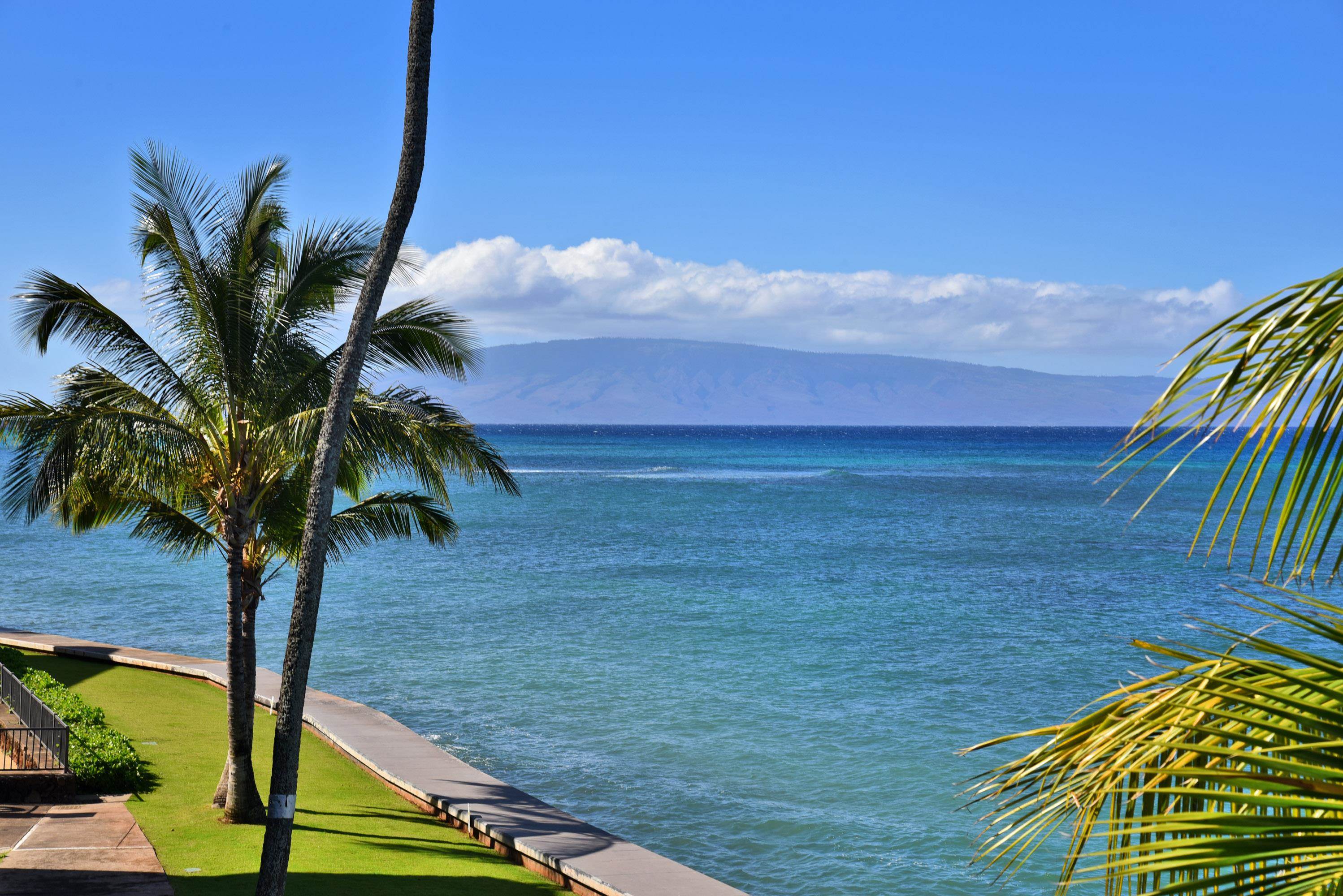 4471 Lower Honoapiilani Rd 317