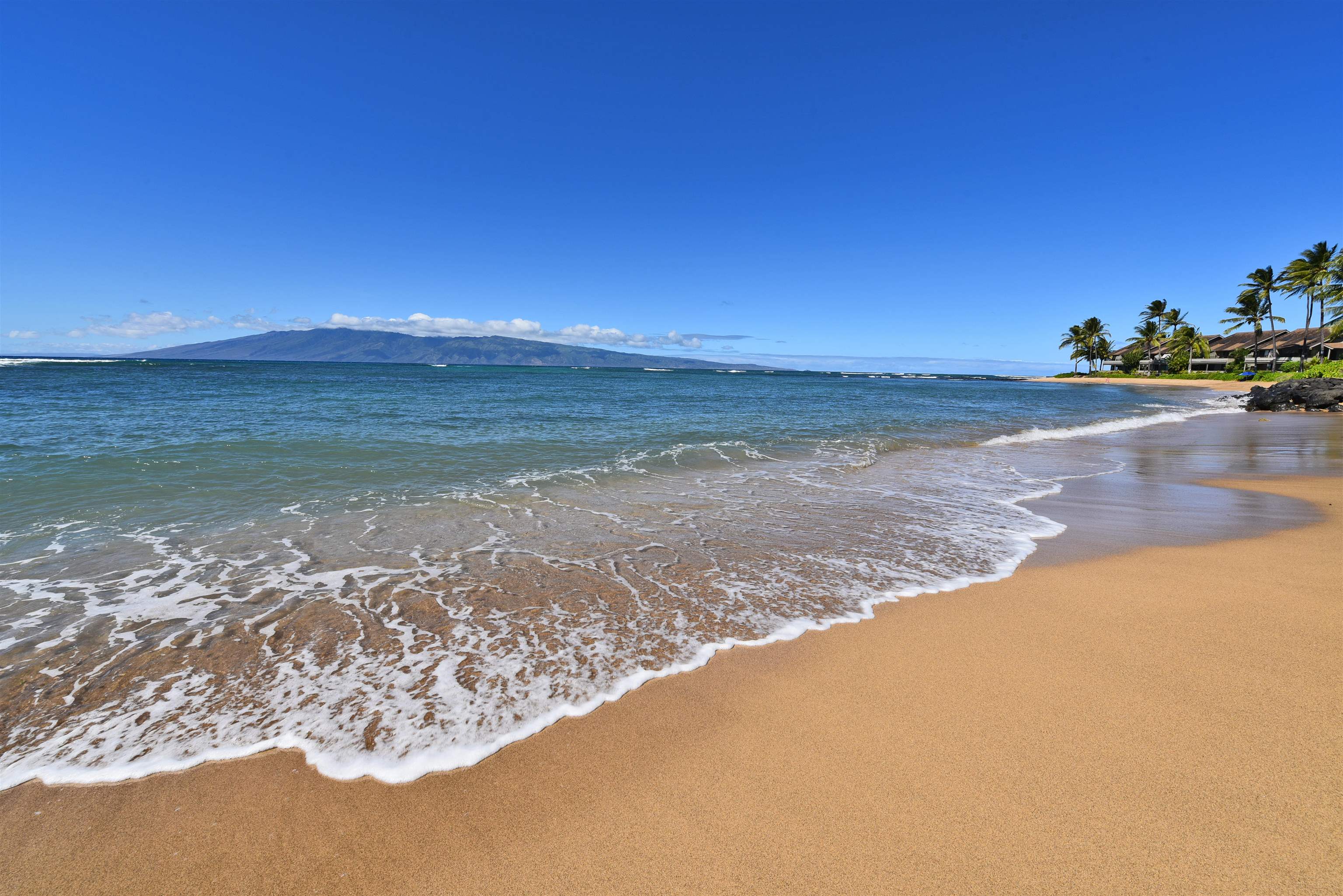 4471 Lower Honoapiilani Rd 317