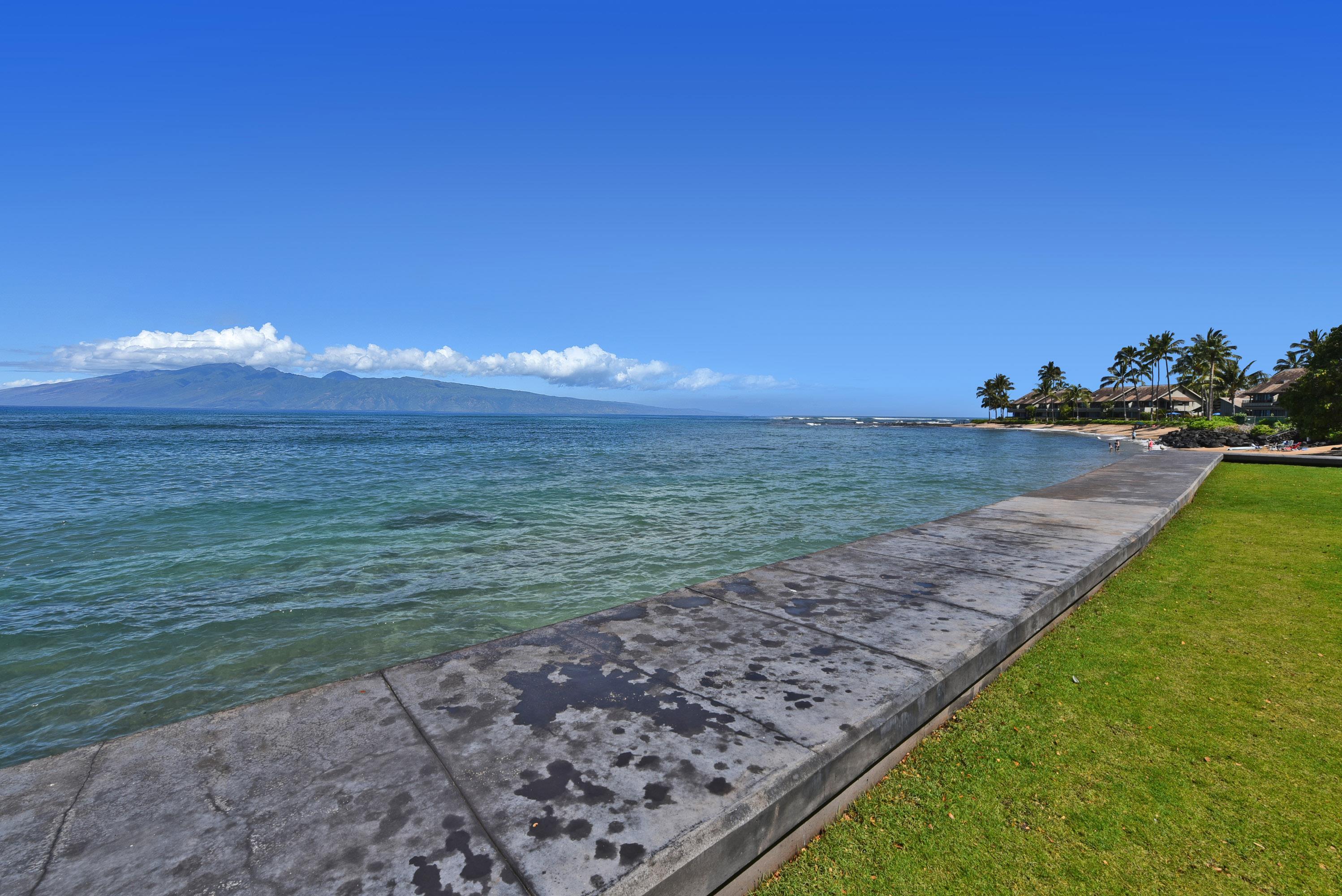 4471 Lower Honoapiilani Rd 317