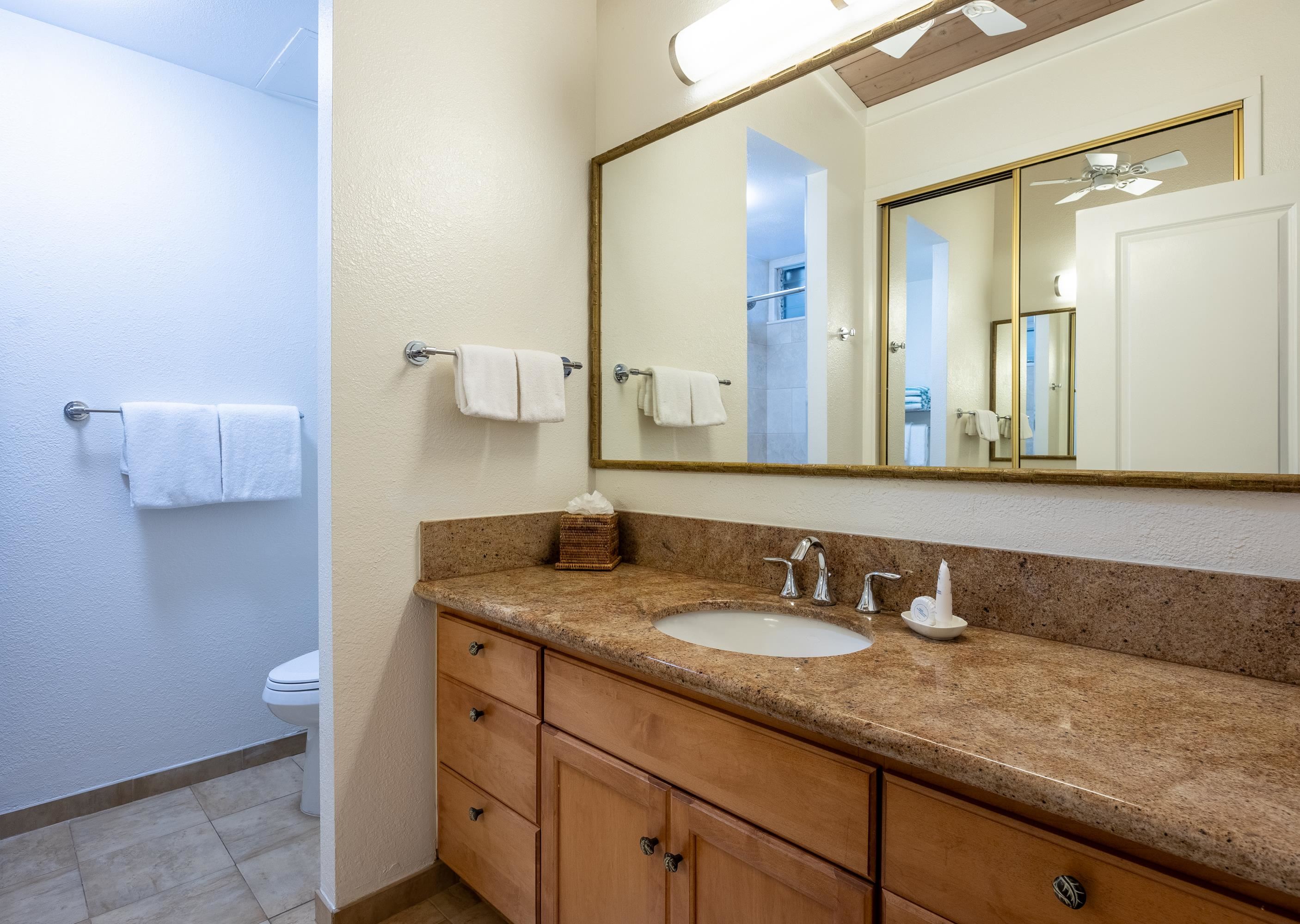 5315 Lower Honoapiilani Rd C215