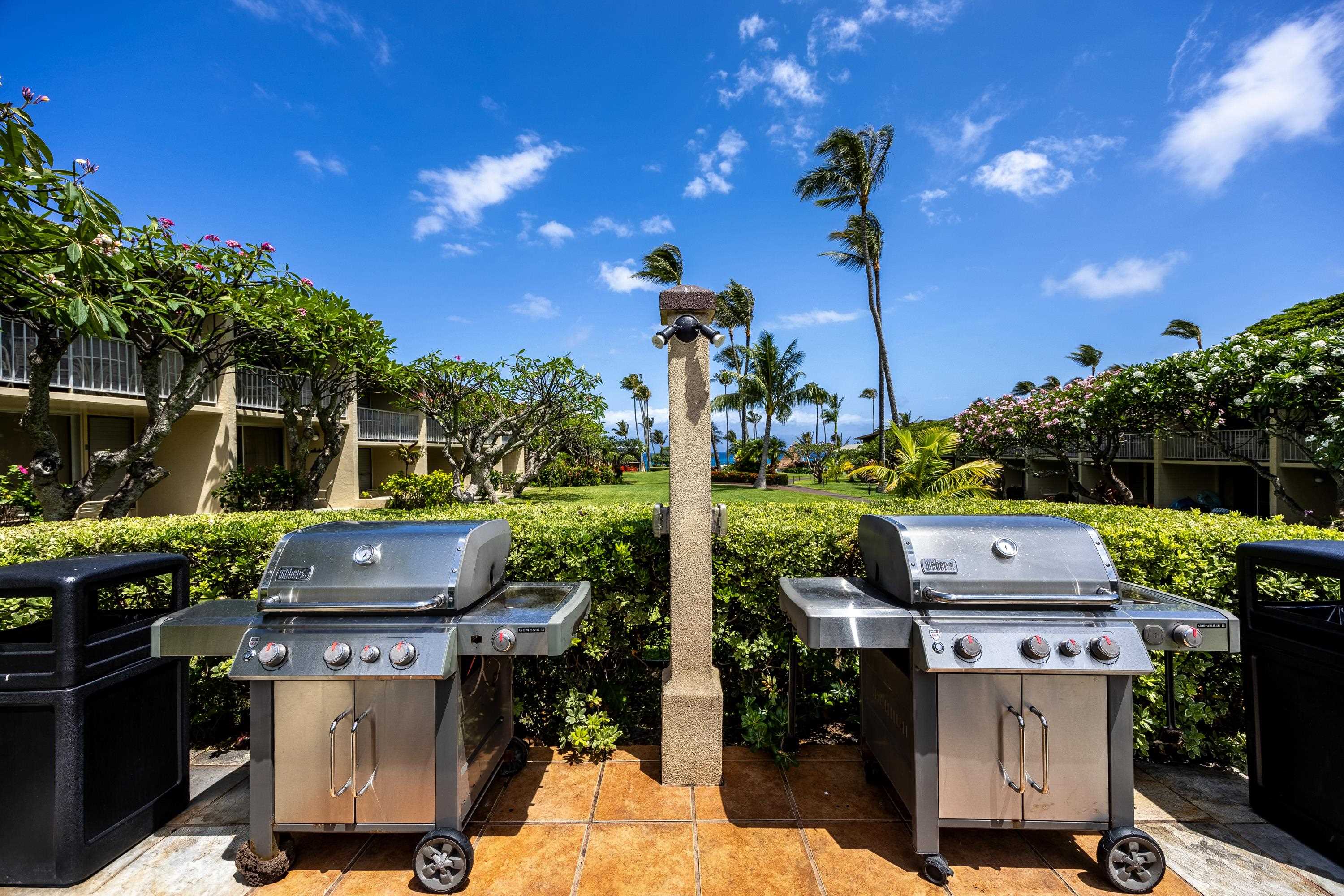 5315 Lower Honoapiilani Rd C215