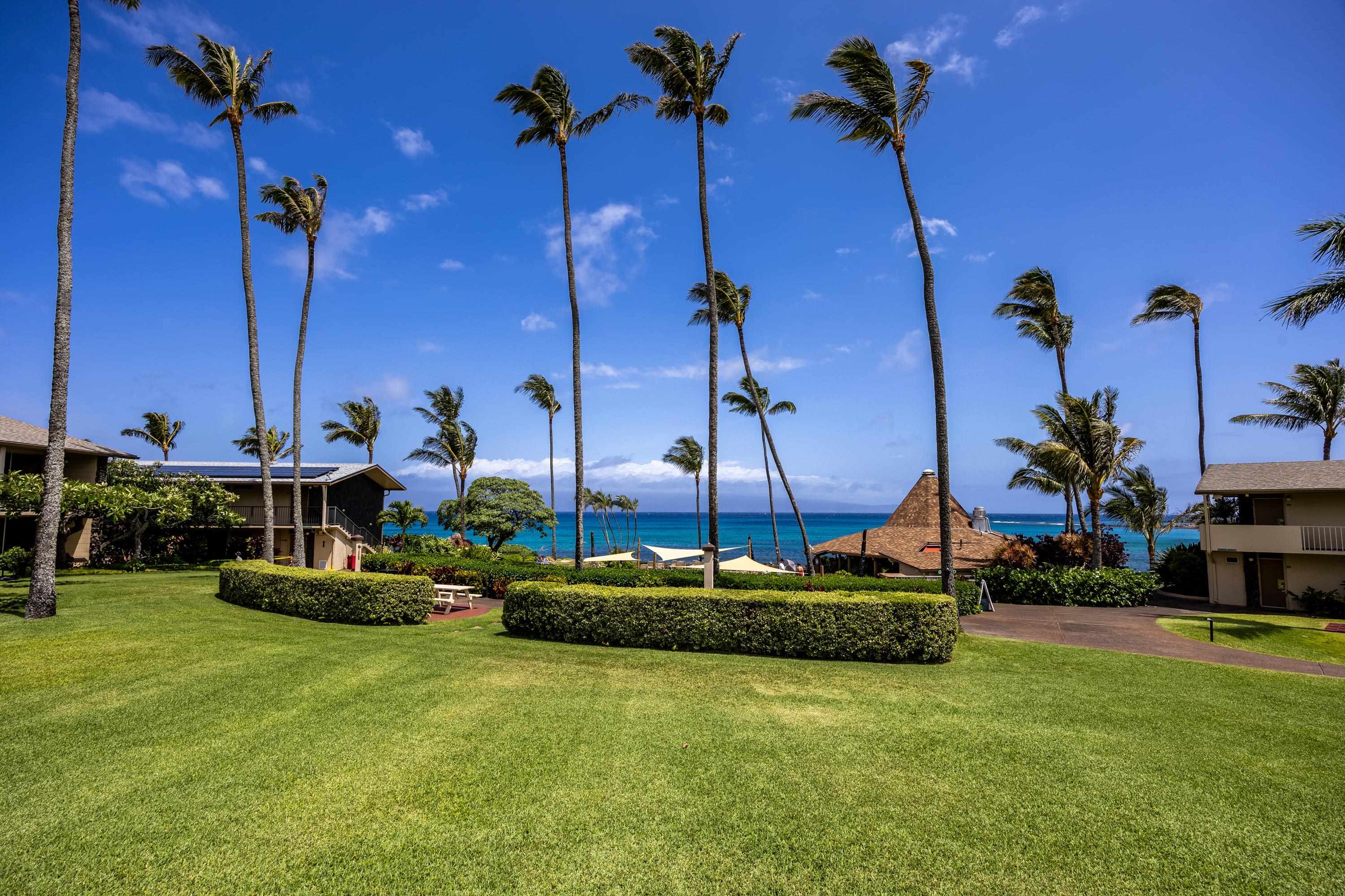5315 Lower Honoapiilani Rd C215