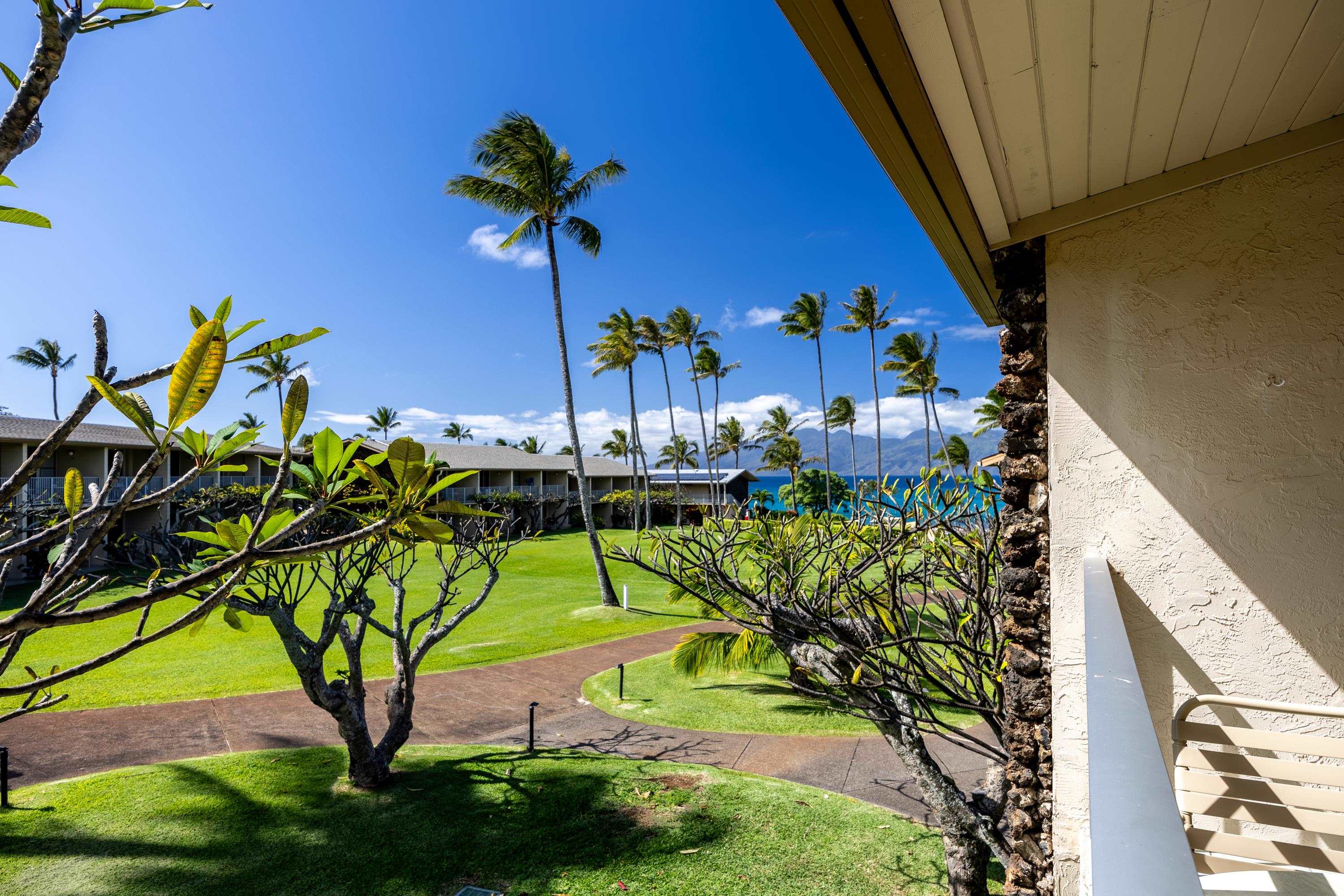 5315 Lower Honoapiilani Rd C215