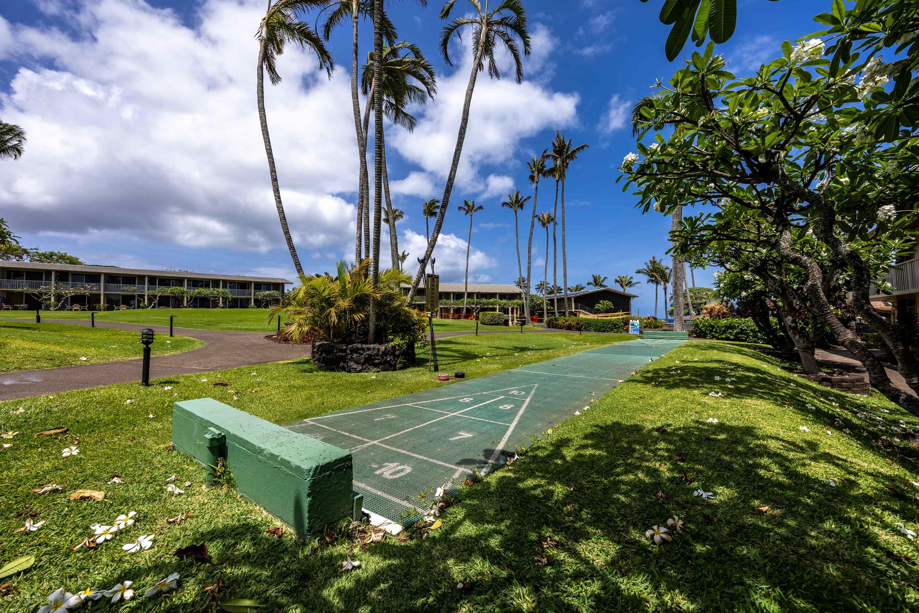 5315 Lower Honoapiilani Rd C215