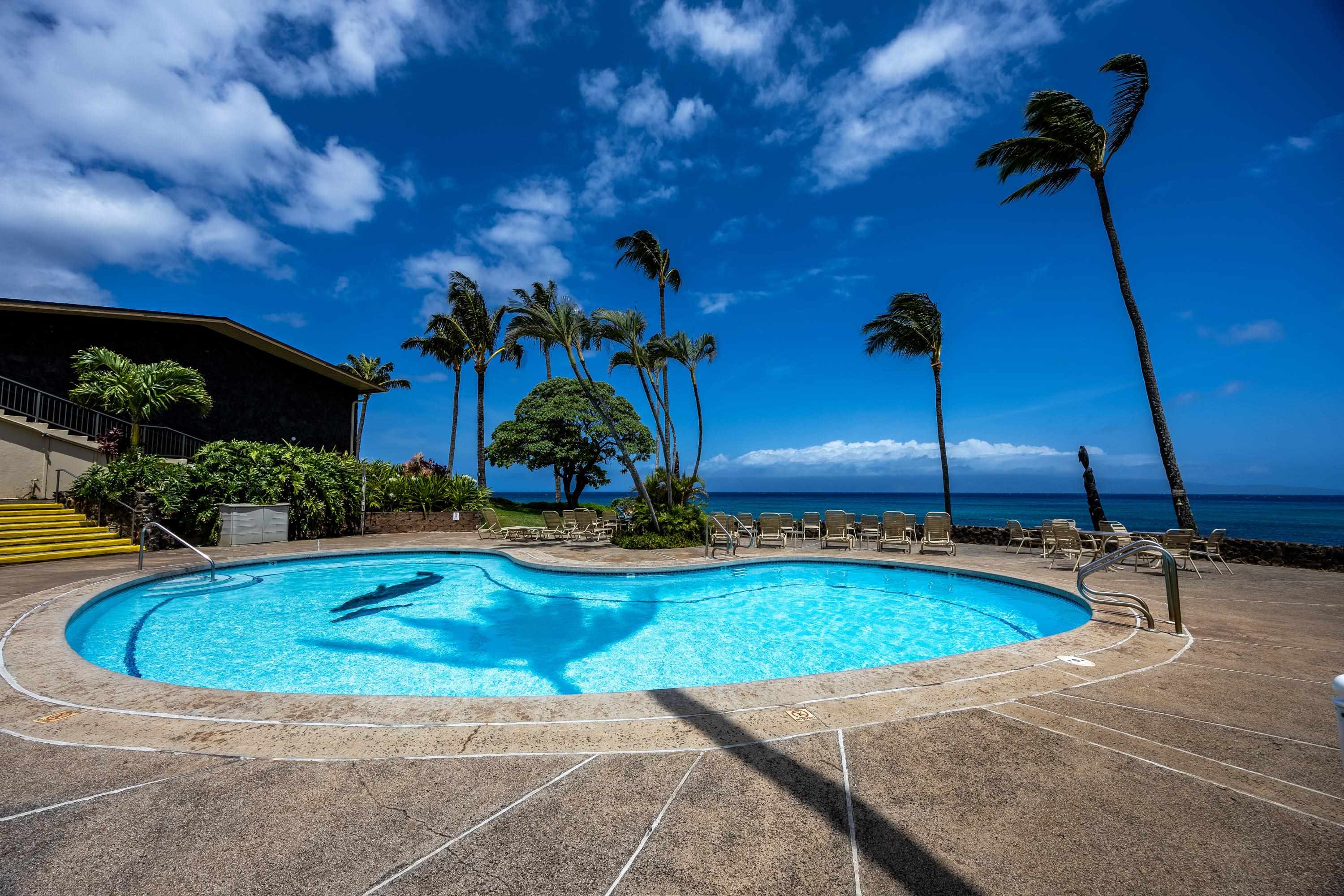 5315 Lower Honoapiilani Rd C215
