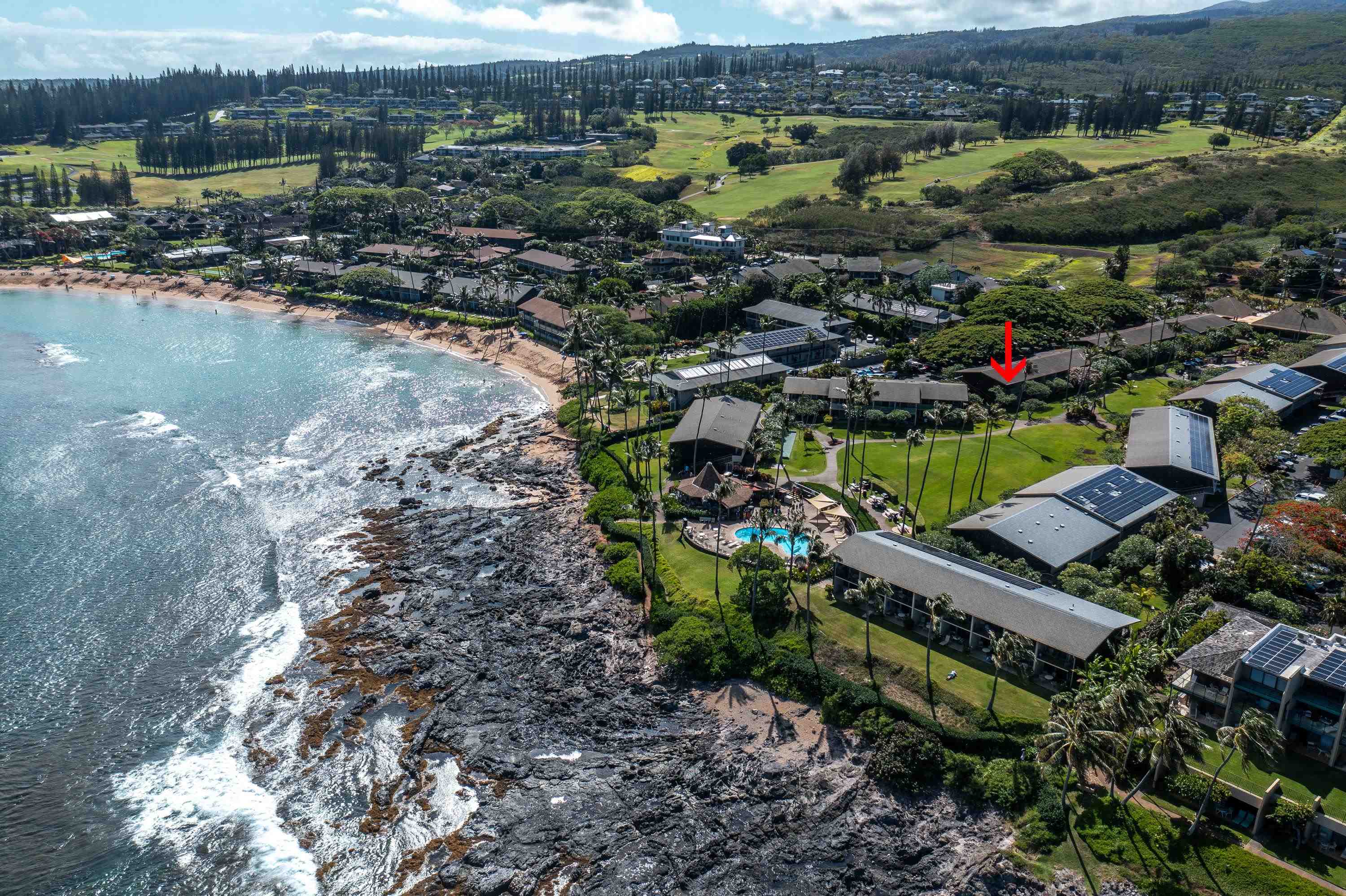5315 Lower Honoapiilani Rd C215